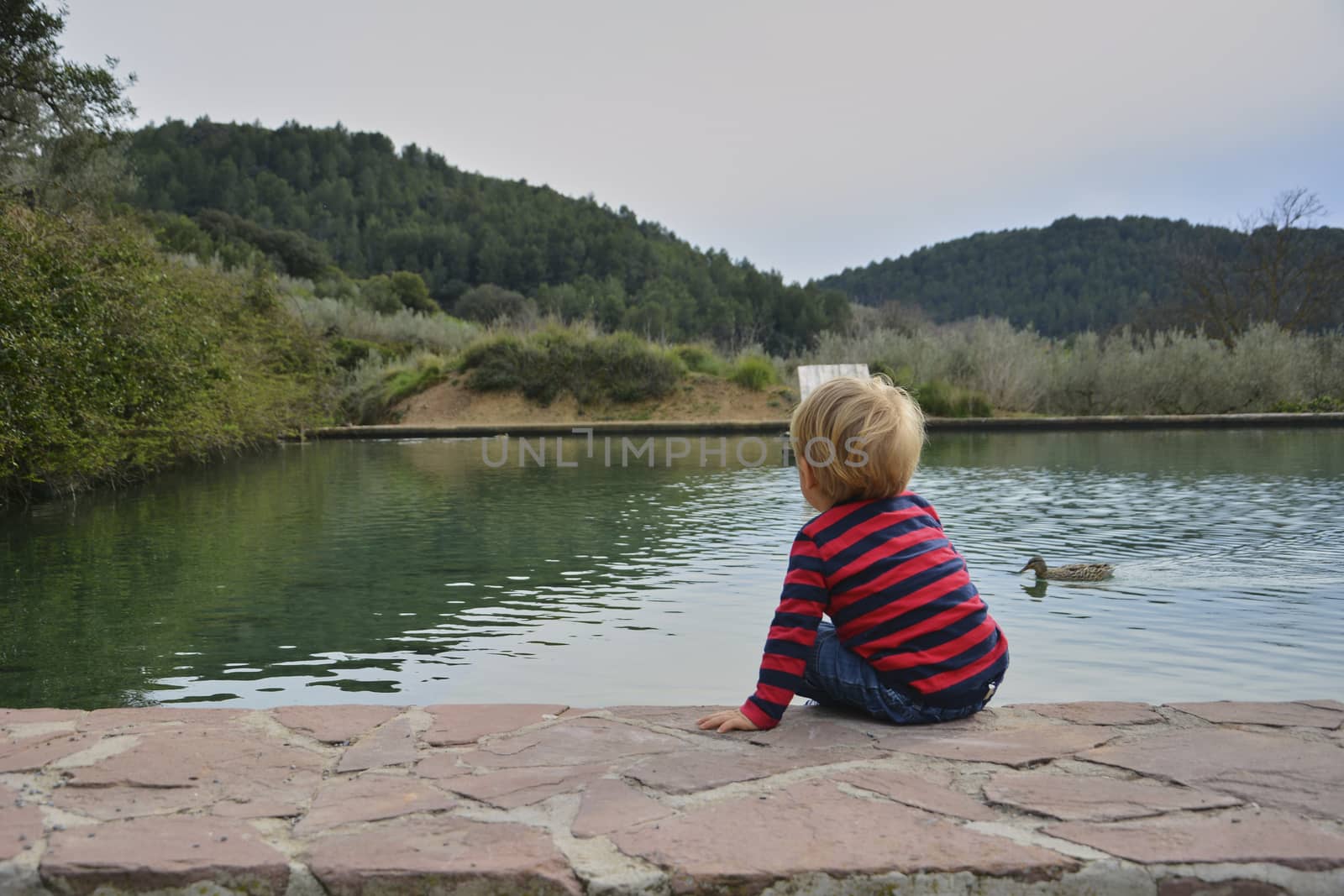 Blond boy watching the water raft with ducks, Colors of nature