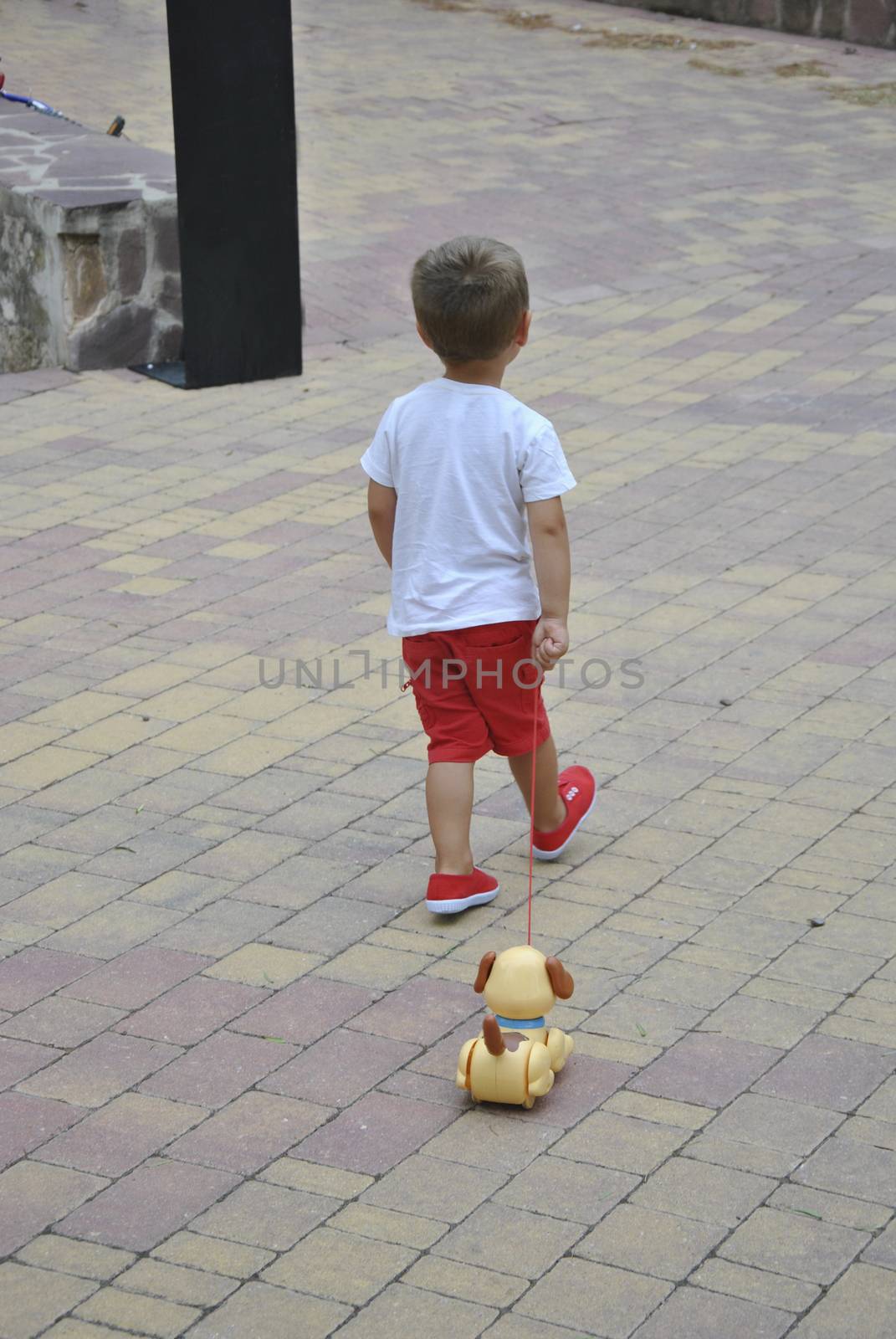 Boy in red pants playing with toy dog.Nice and fun
