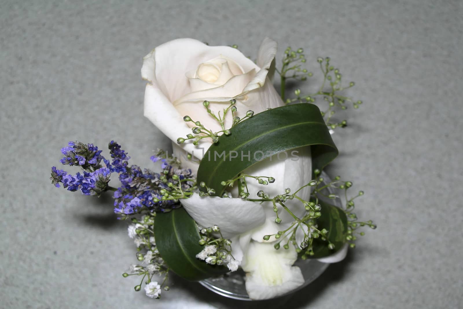 Ornament made with a white flower. Green branch and blue flower with gray background