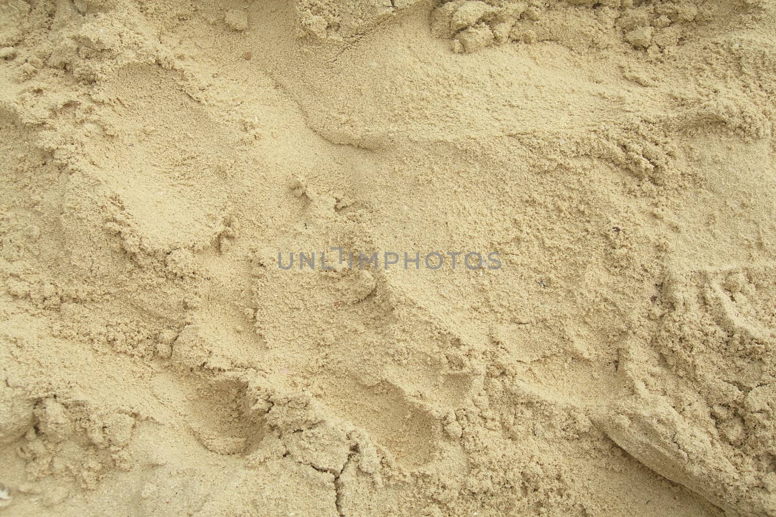 Caribbean beach sand close-up, textures and backgrounds