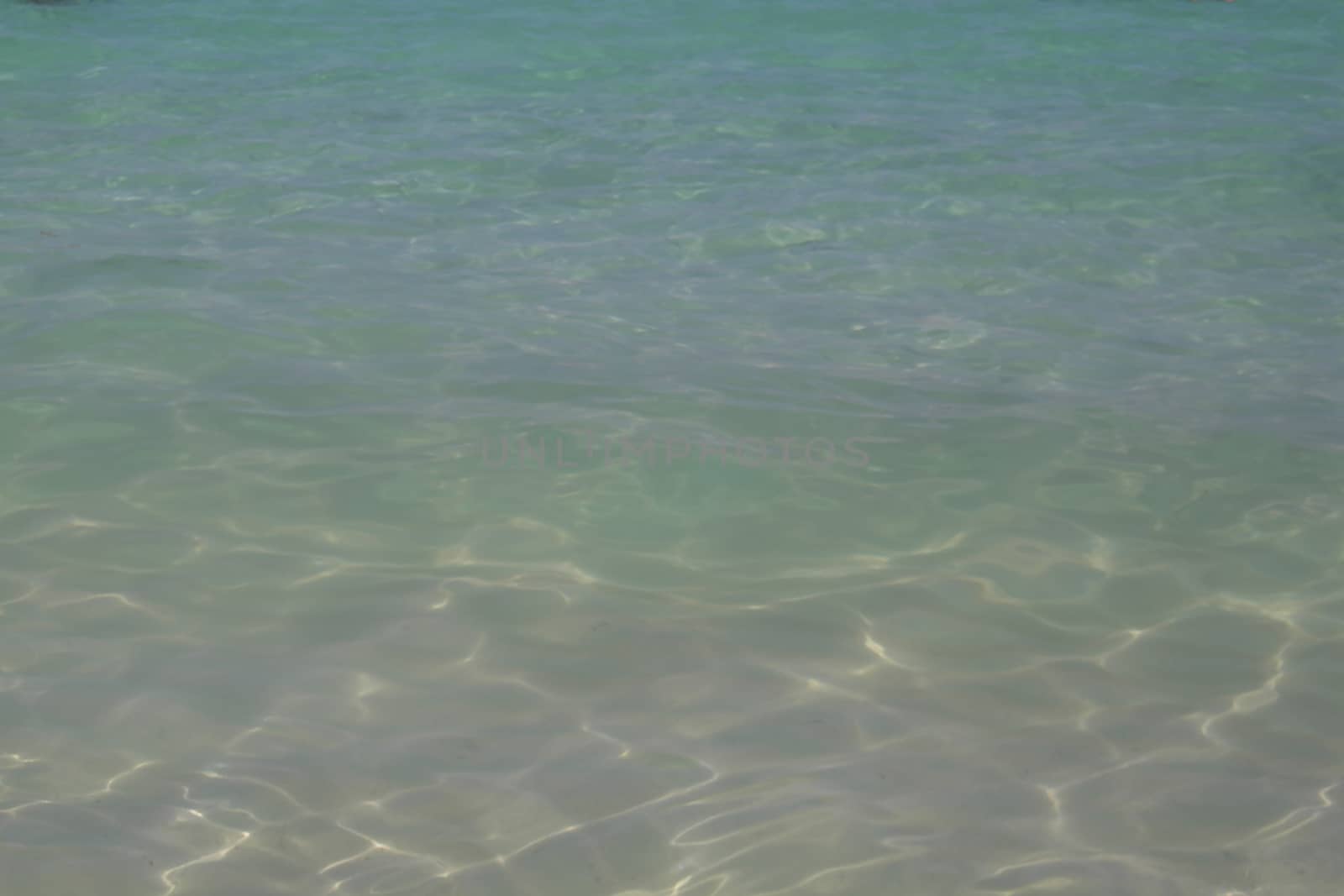 Close-up of crystal clear and turquoise water. Caribbean waters