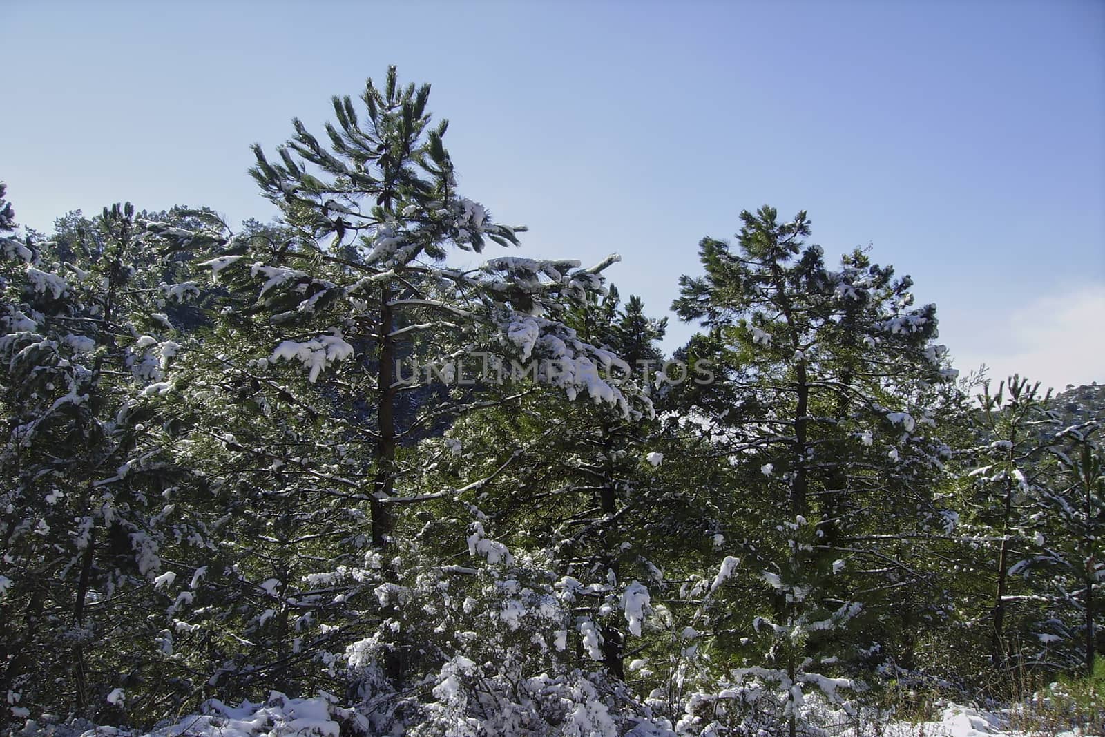 Snowy mountain landscape on a sunny day by raul_ruiz