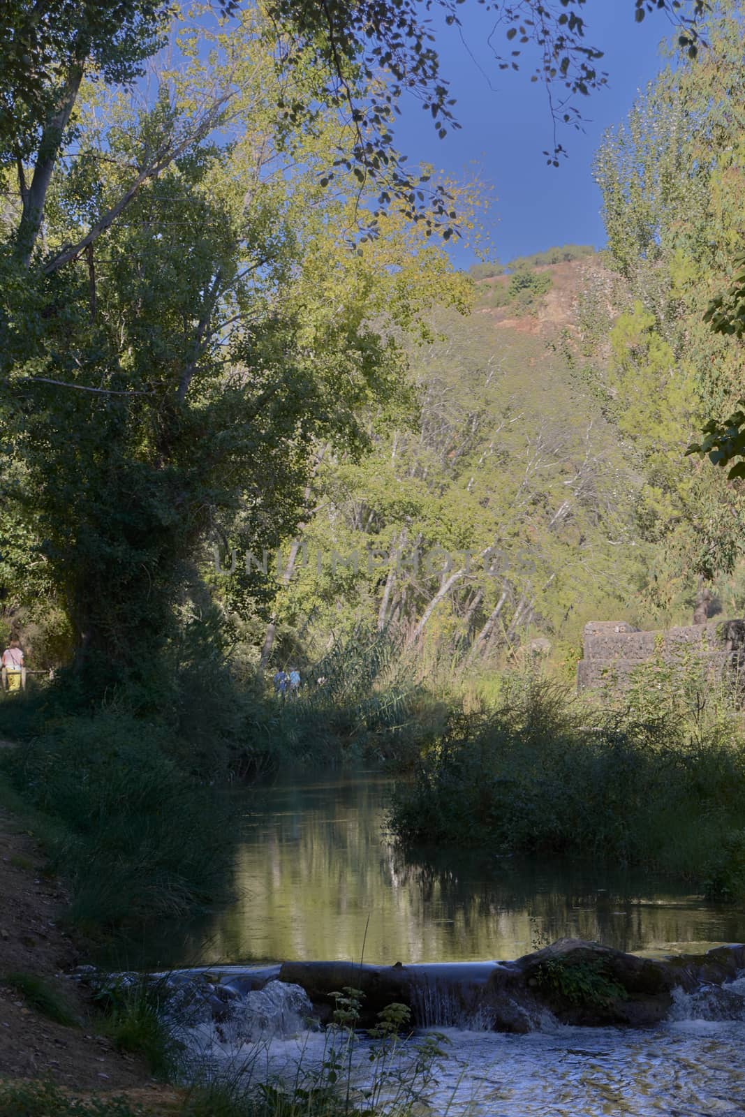 Stream with calm and transparent waters by raul_ruiz