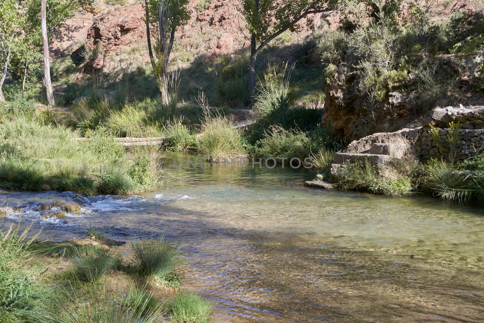 Stream with calm and transparent waters, vegetation and bright light