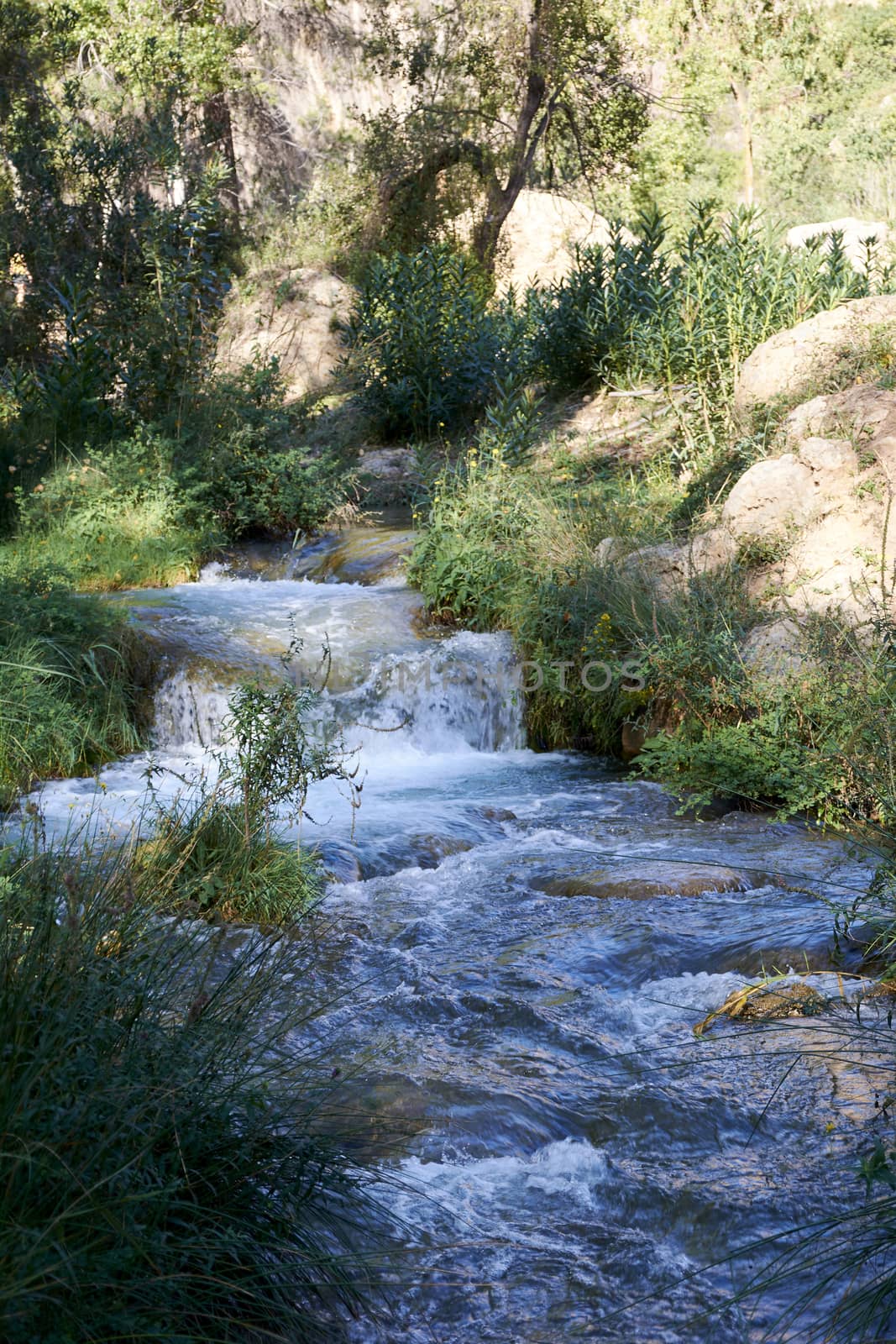 Stream with calm and transparent waters, small waterfall, vegetation and bright light