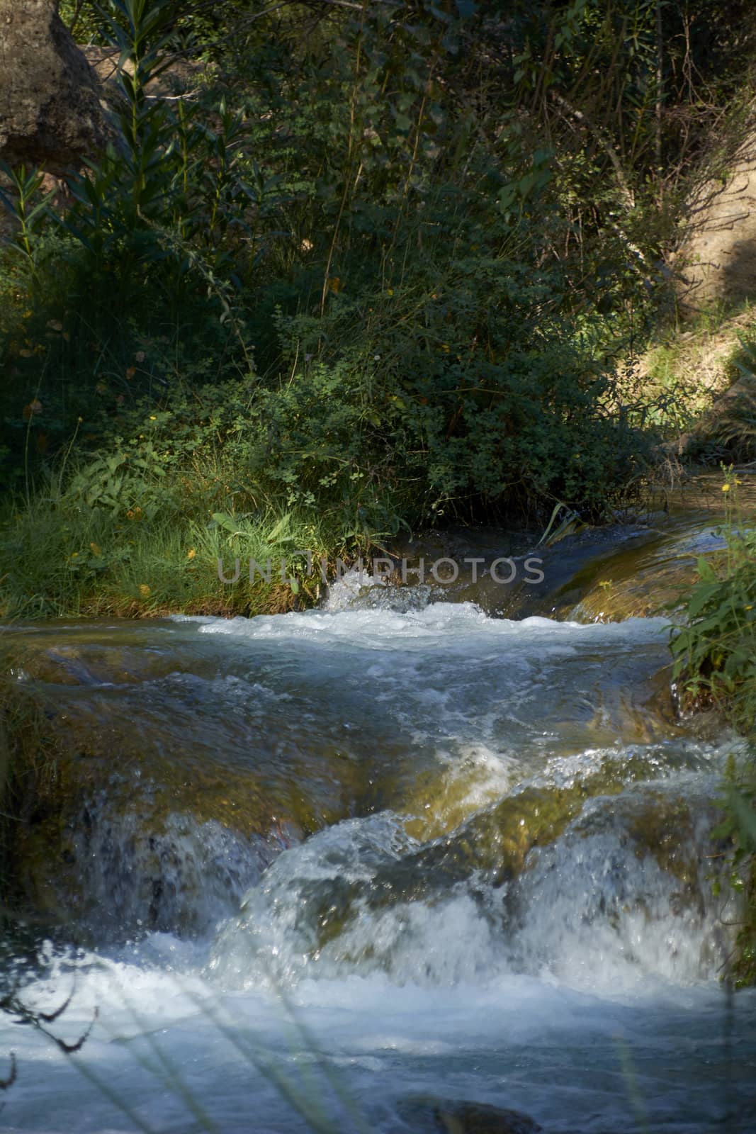 Stream with calm and transparent waters by raul_ruiz