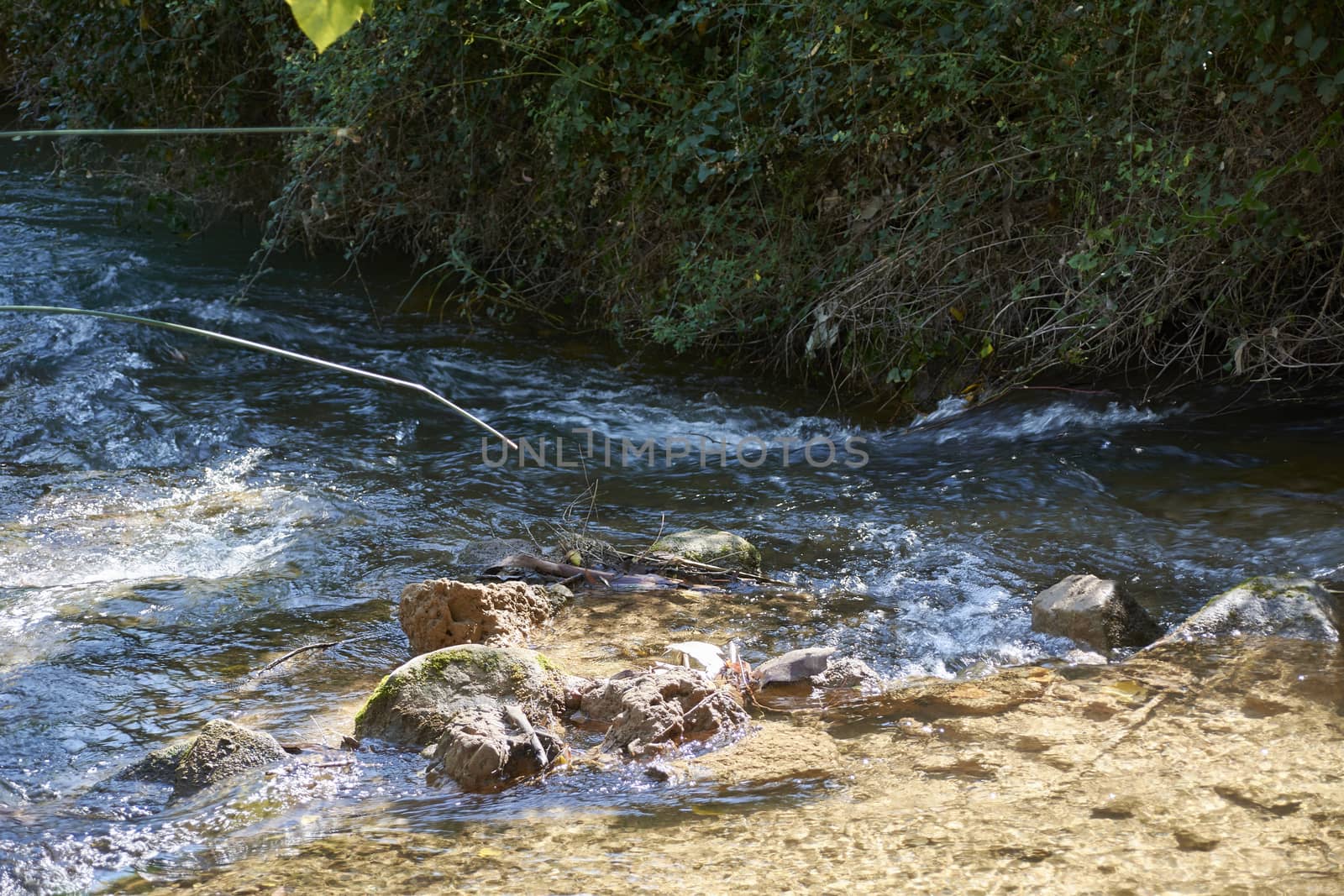 Stream with calm and transparent waters, small waterfall, vegetation and bright light