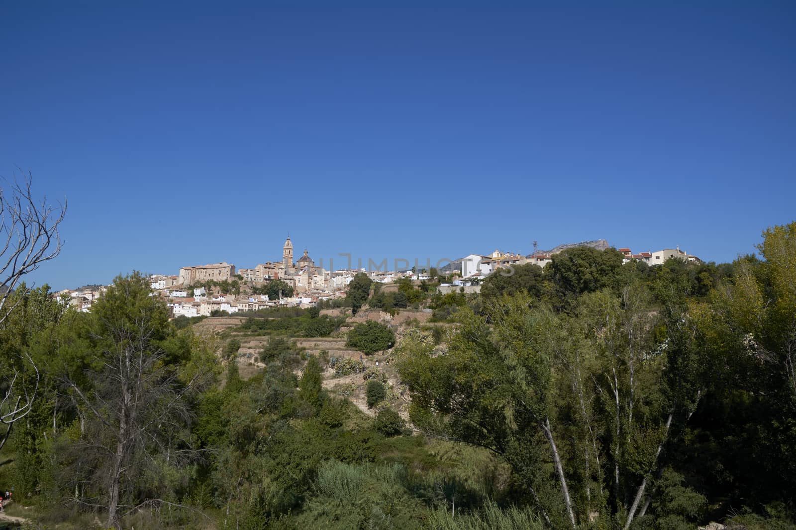 Mountain village among trees with bright blue sky, pine trees,