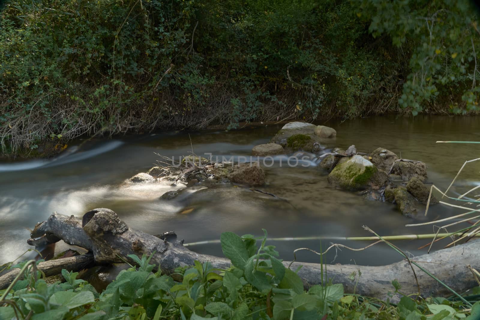 Stream with calm and transparent waters, small waterfall, vegetation and bright light