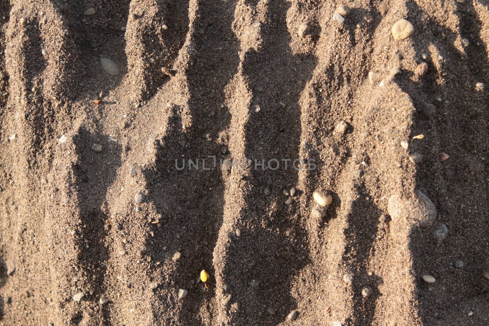 Sand background texture
