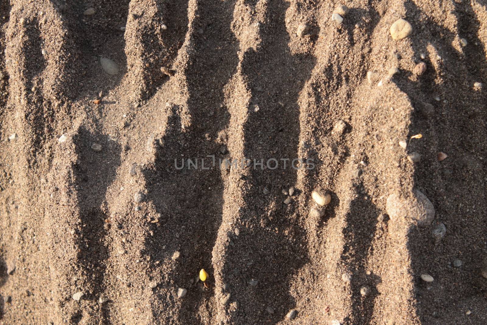 Sand background texture