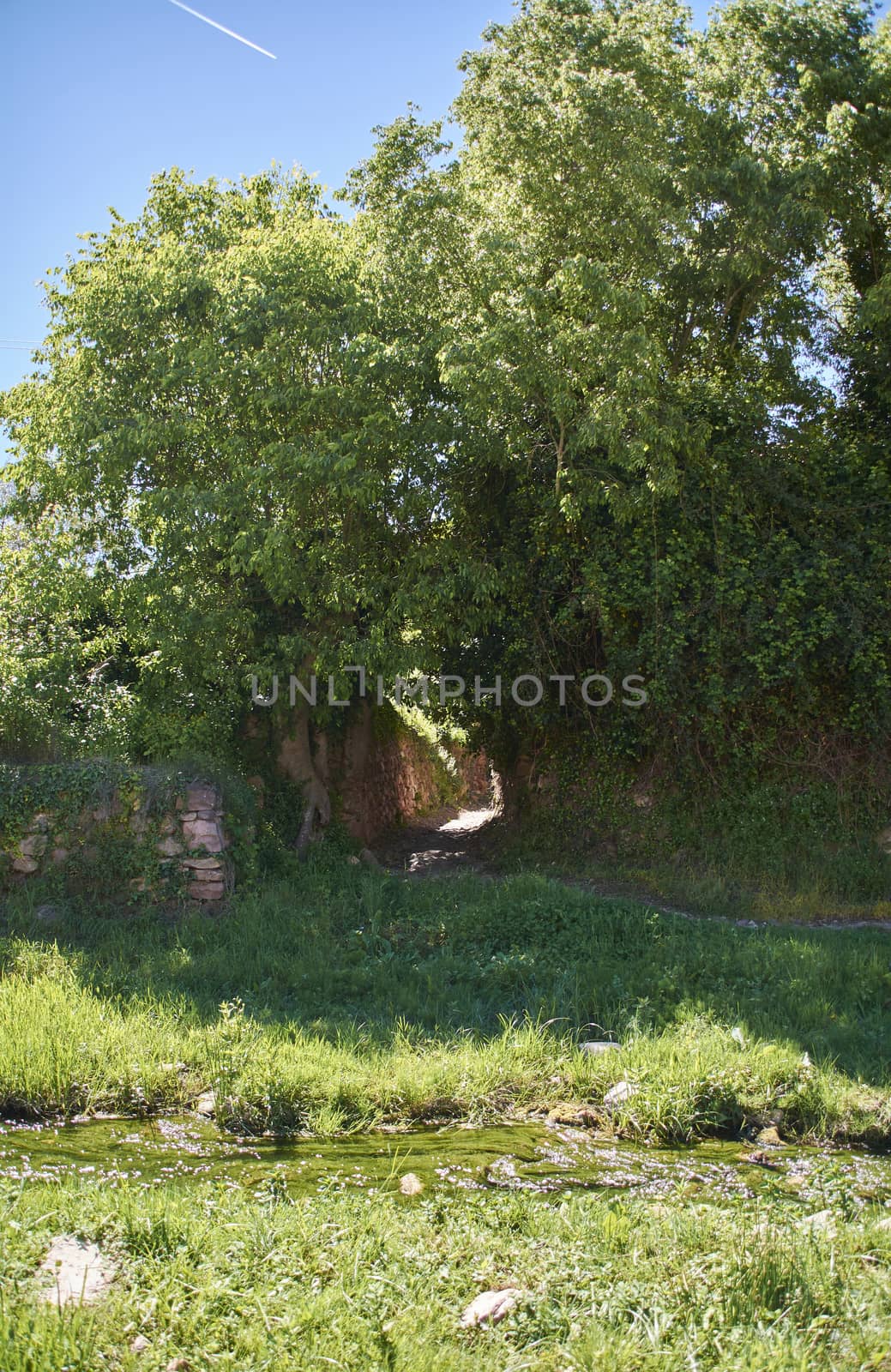 Path between trees through a calm river, Blue sky, a plane wake calm and transparent waters, a plane wake