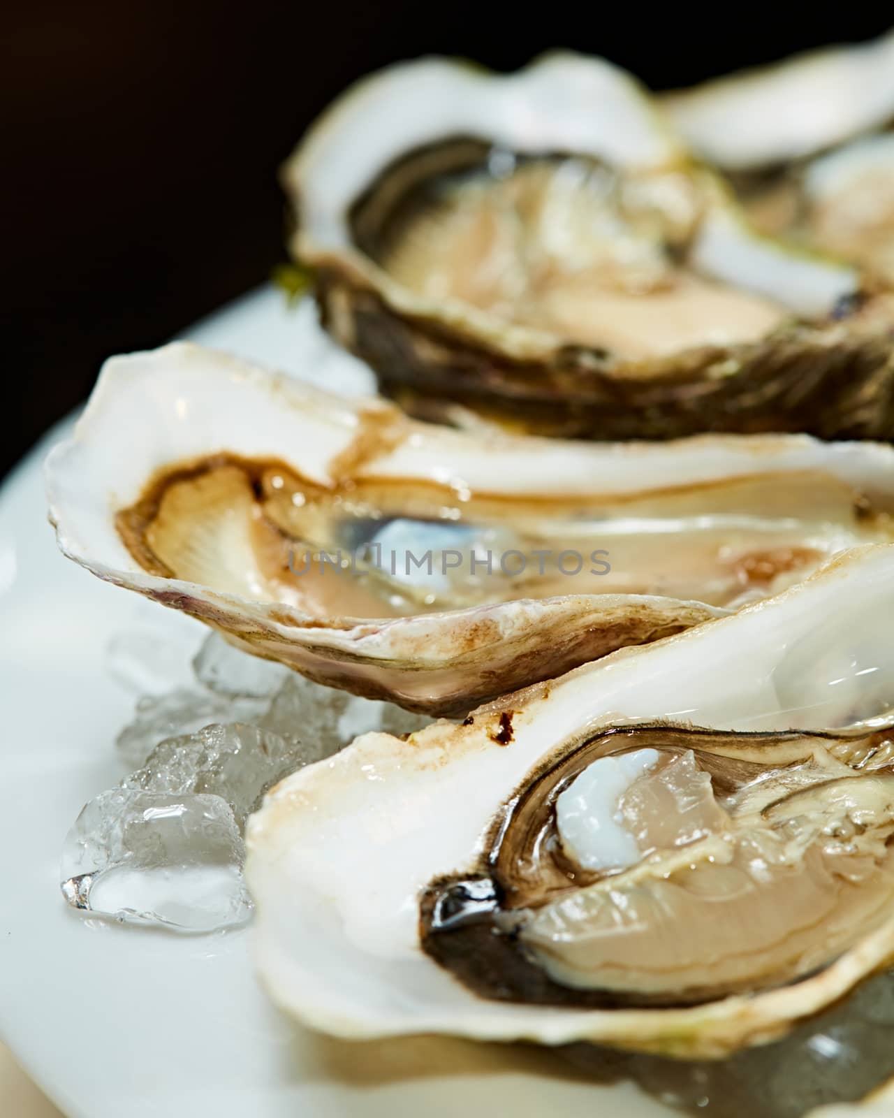 Fresh oysters on ice with lemon close up. Shallow dof. by sarymsakov