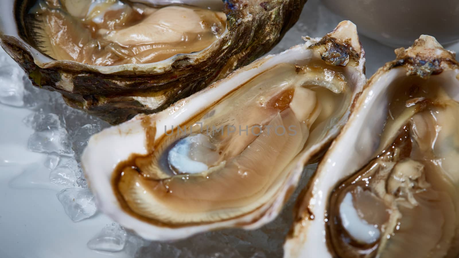 Opened fresh oysters with lemon on dish. Shallow dof.