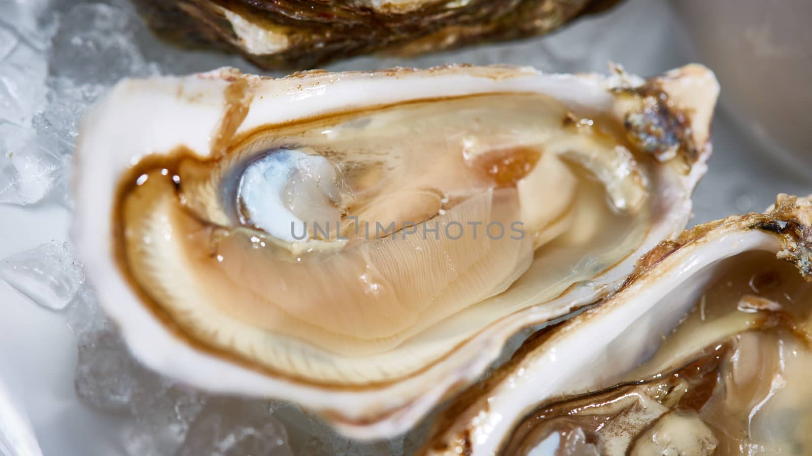 Fresh oysters on ice with lemon close up. Shallow dof