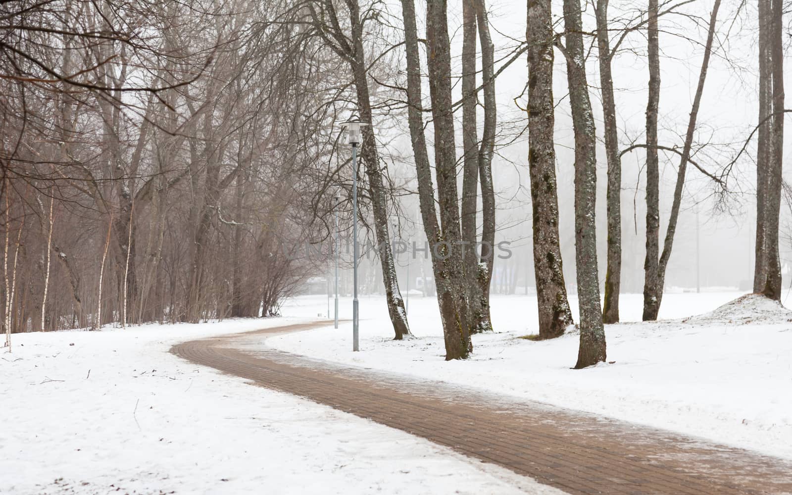 A Winter View Along a Deserted Pathway by ATGImages