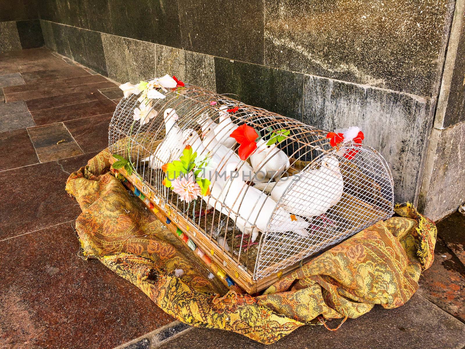 white pigeons in colored cage on tattered blanket
