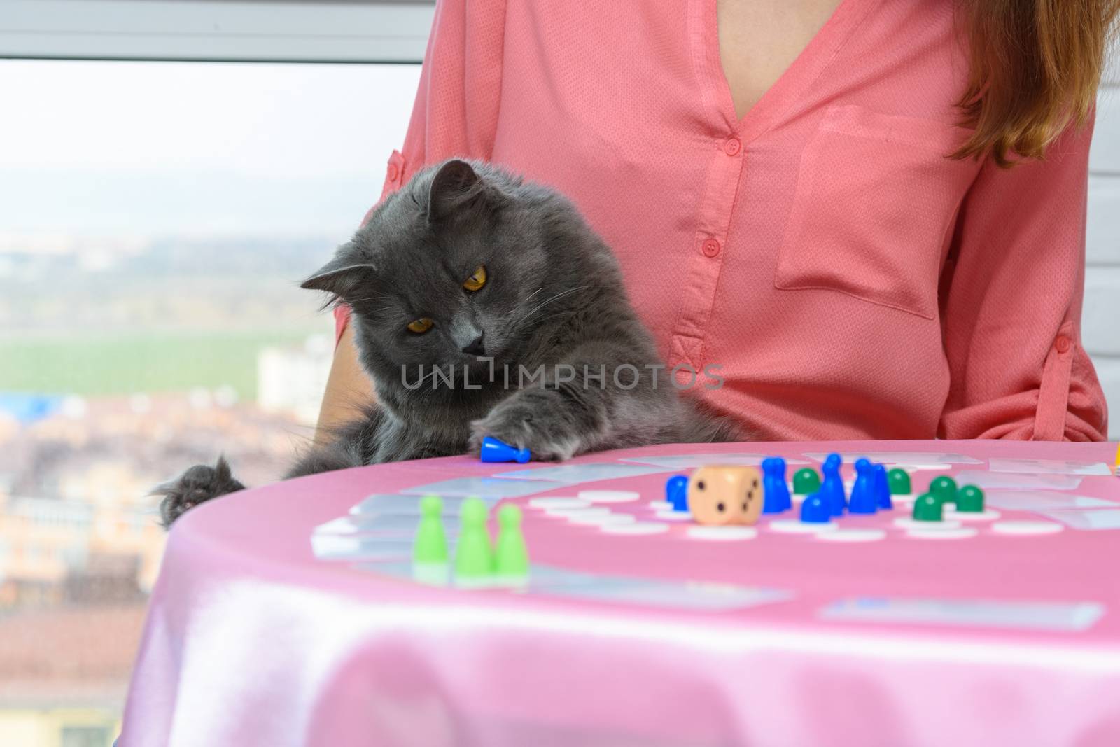 Home cat decided to play chips from a board game by Madhourse