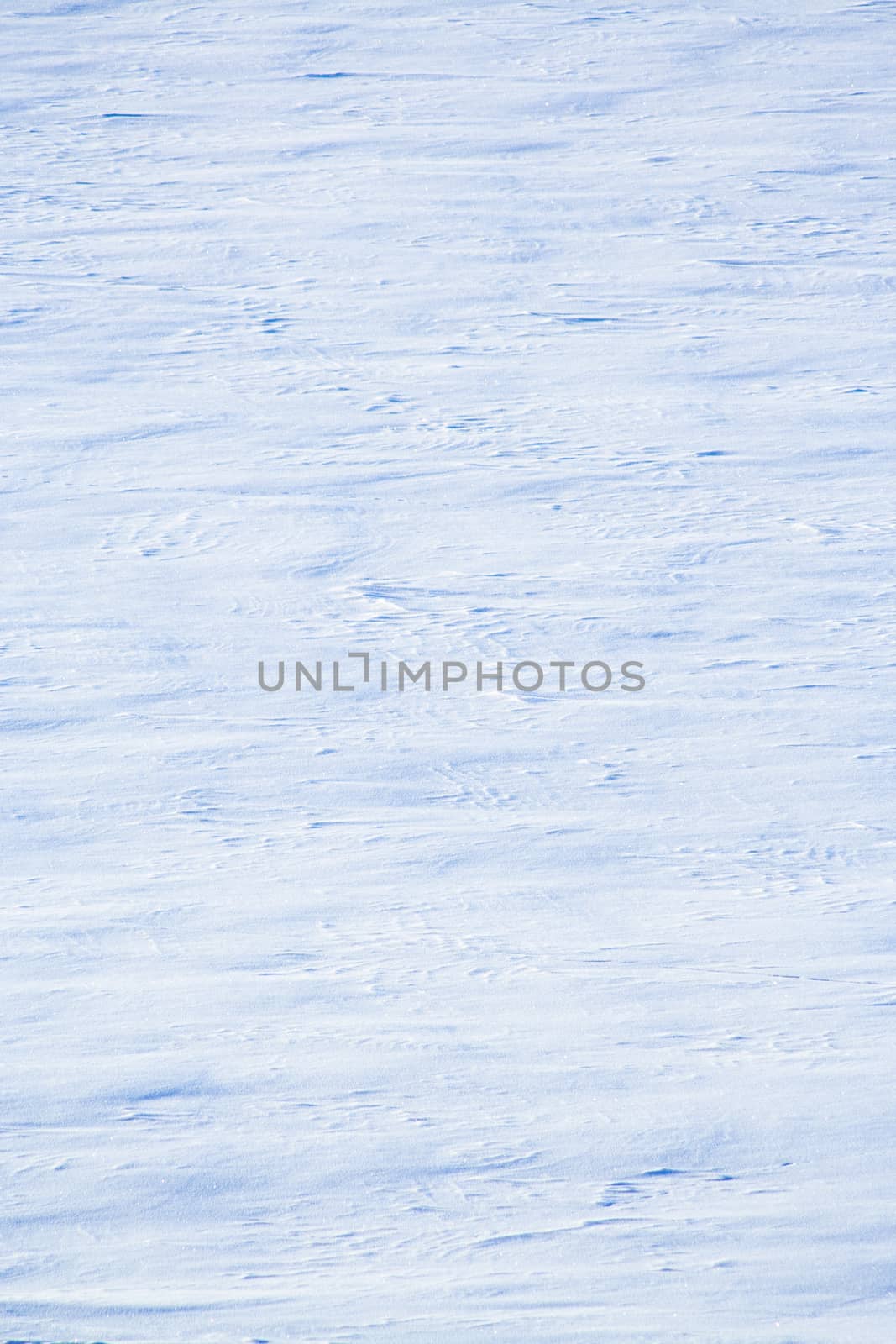 Winter frozen surface of snow field with snowdrifts at sunny winter day