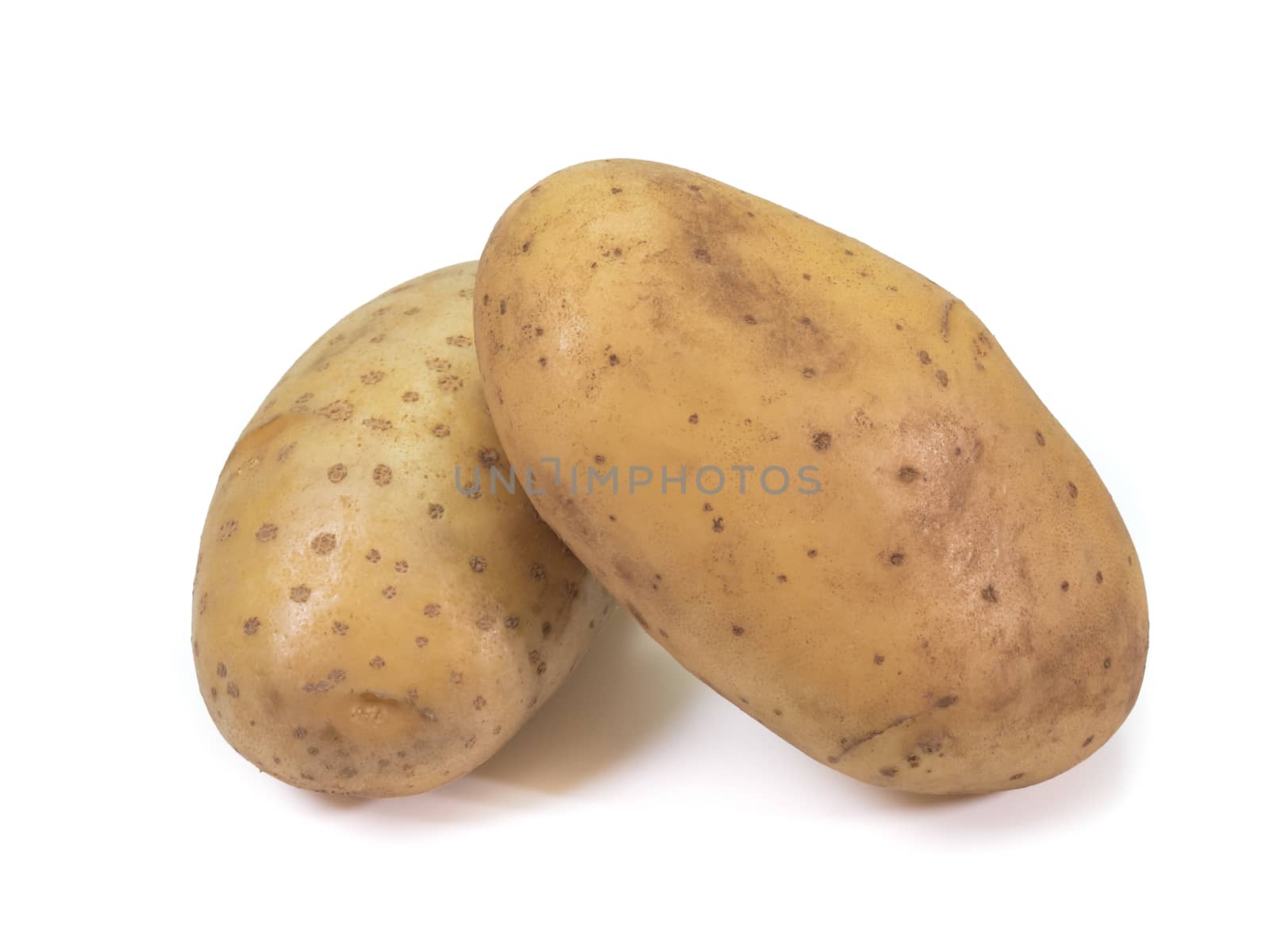 The close up of fresh organic potato vegetable on white background.