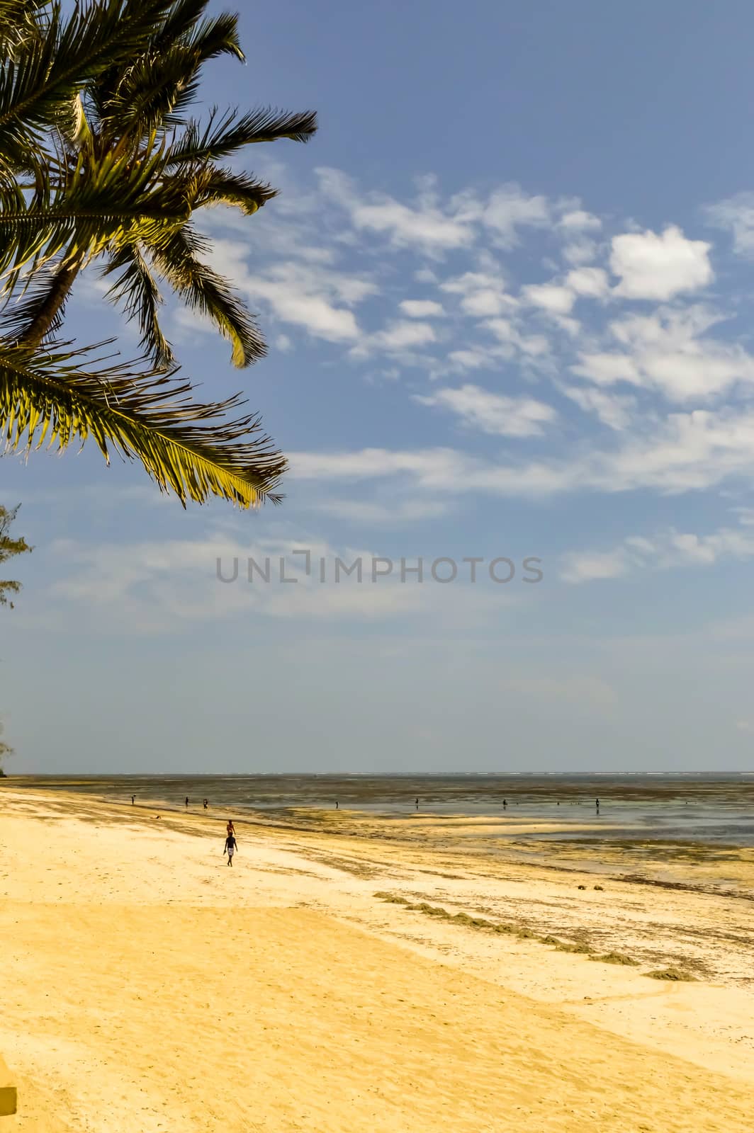 View of white sand beach and blue ocean at sunrise in Bamburi, Kenya