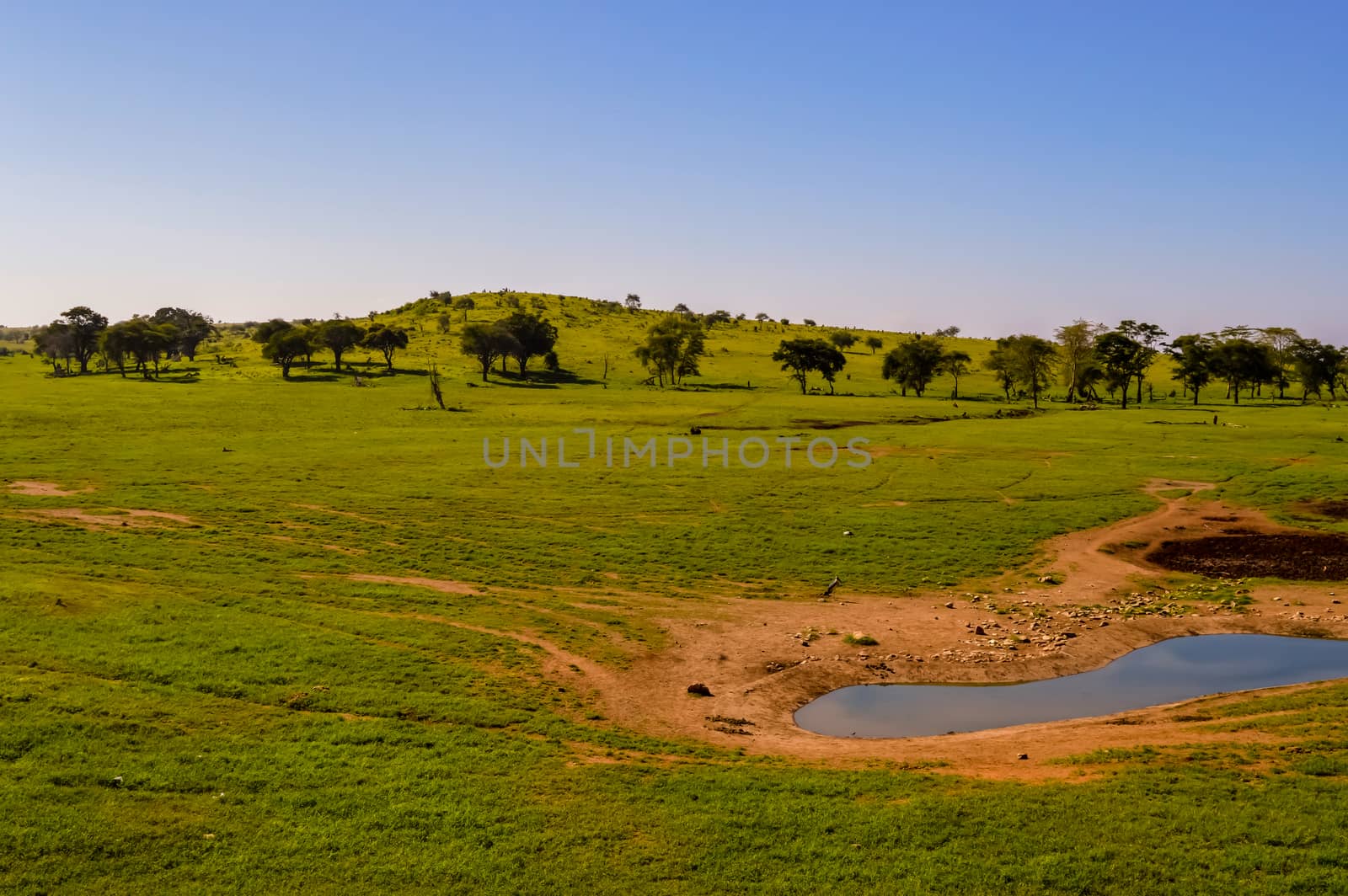 Landscapes of Tsavo West National Park in Kenya, Africa