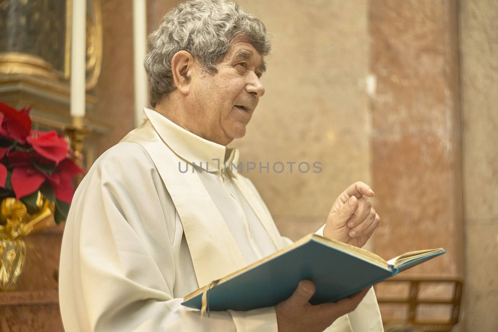 Priest celebrates the liturgy 10 by pippocarlot