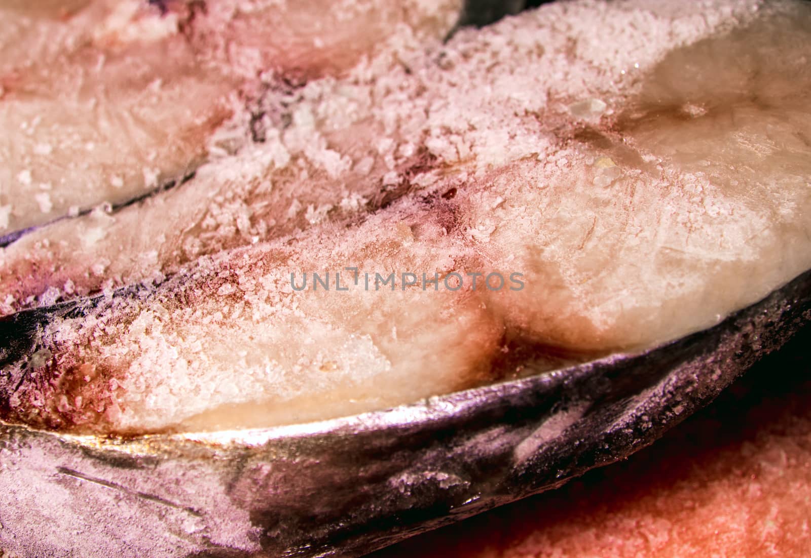 Mackerel pieces, Fish frozen by Satakorn