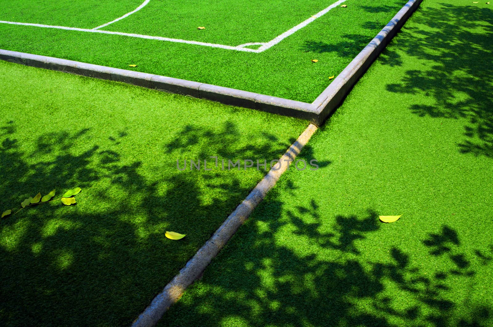 Shadow of tree and fall leaf on the artificial grass football fi by Satakorn