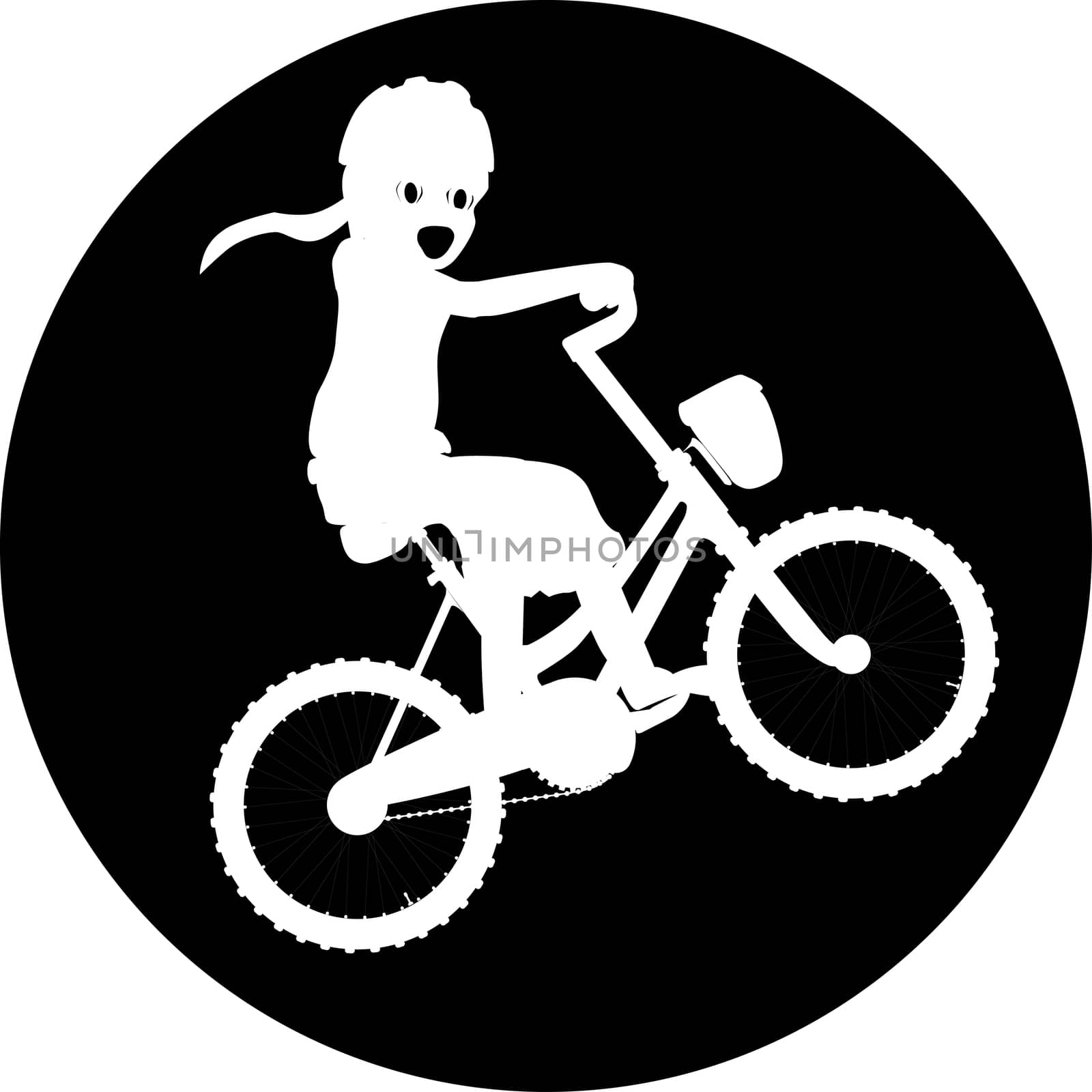 A young girl,on a bike silhouetted against the moon