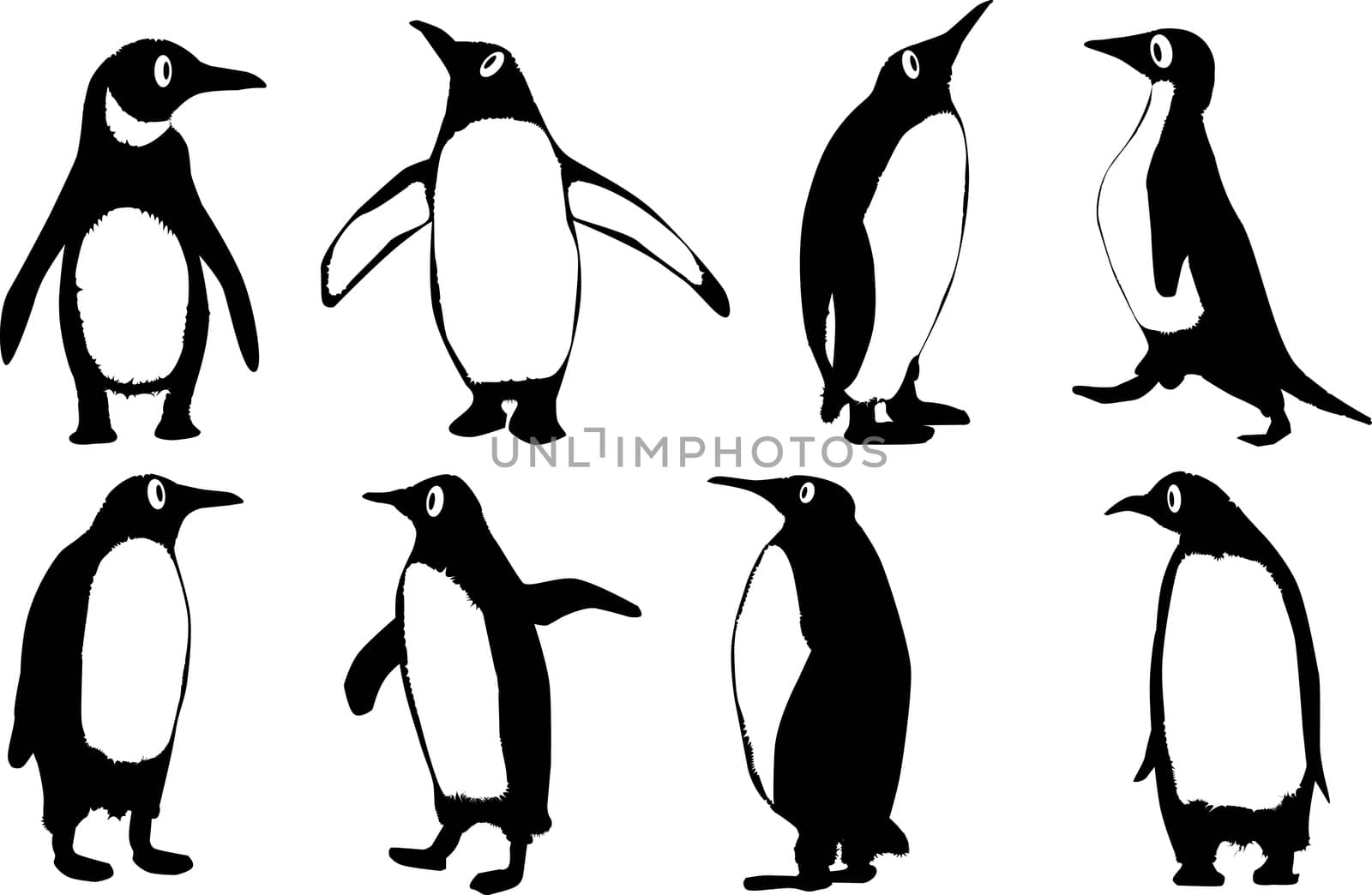 A collection of 8 vector penguins isolated on a white background.