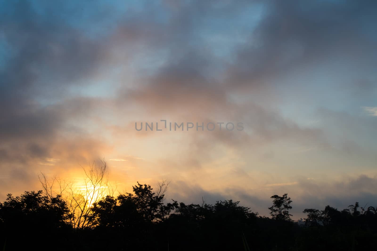 Fluffy clouds floating scattered across the sky in the forest by Satakorn