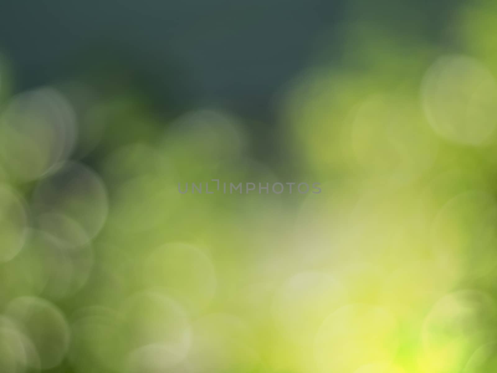 Natural outdoors bokeh background in green and yellow tones, Blu by Satakorn