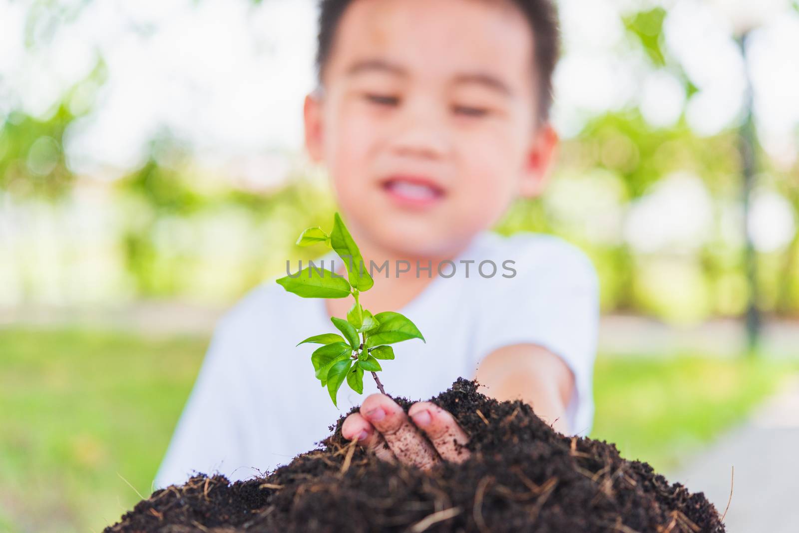 World Environment Day Environment Concept, Hand of Asian cute little cheerful child boy planting young tree on black soil on green garden background