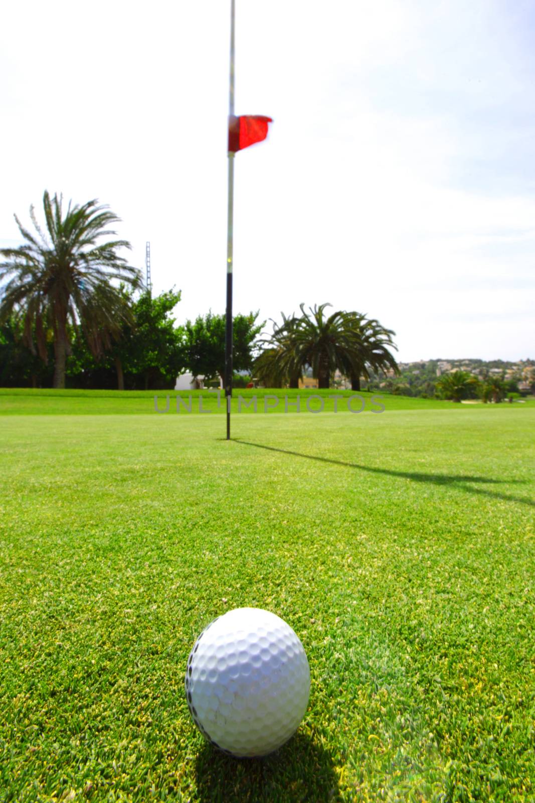 golf-ball on freen of course red flag on background