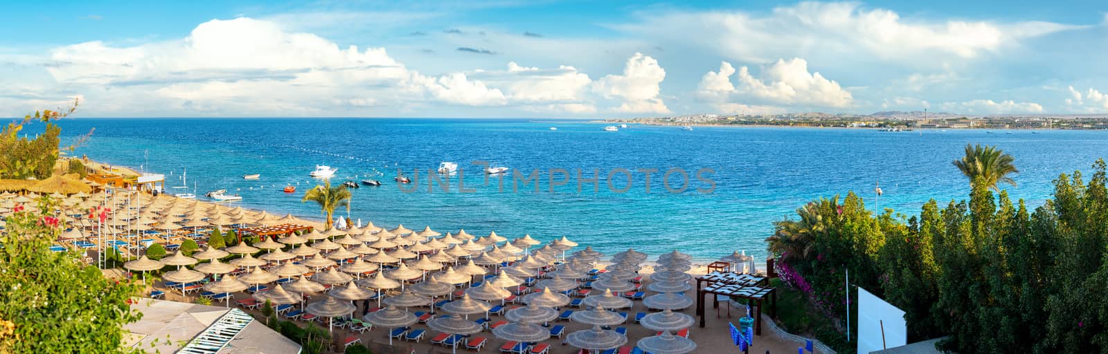 Beach in overlooking Sea by Givaga