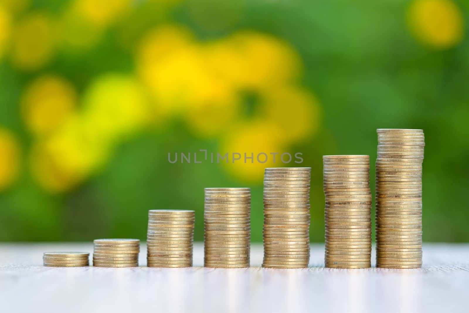 The coins are arranged from low to high. Nature background Yello by Kanjana