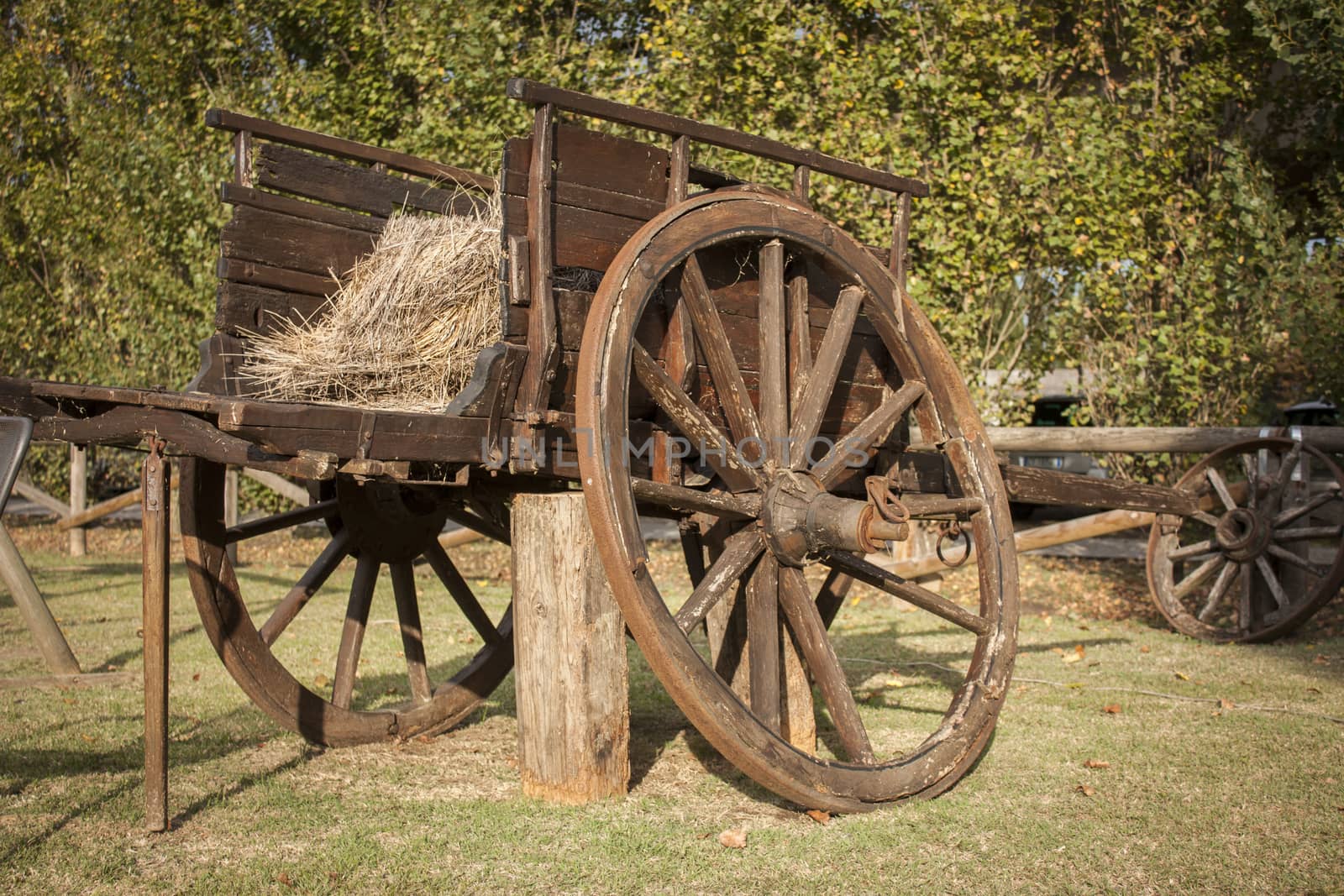 Old destroyed wooden cart inside a country garden