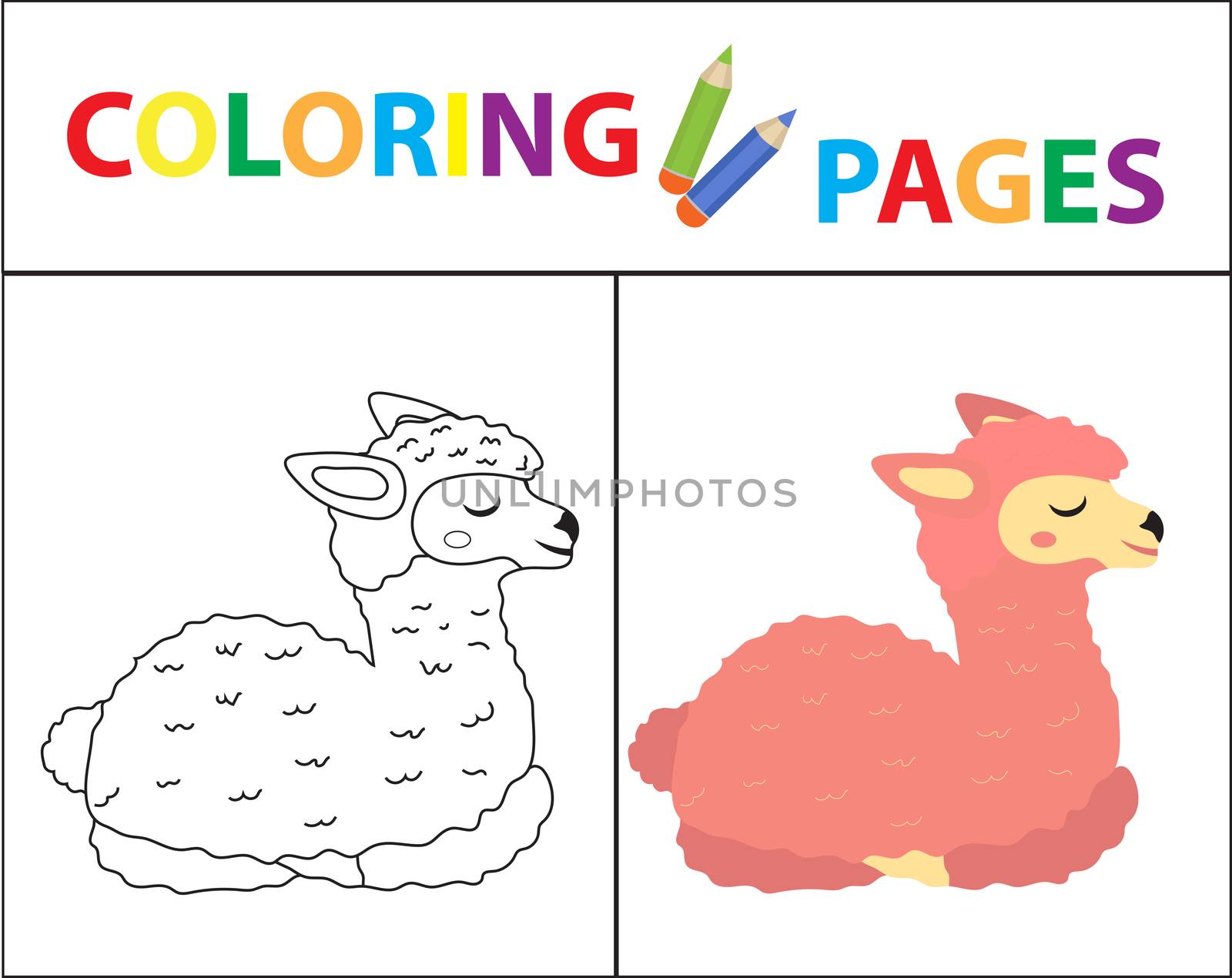 Coloring book page for kids. Cute Lama. Sketch outline and color version. Childrens education. illustration. by lucia_fox