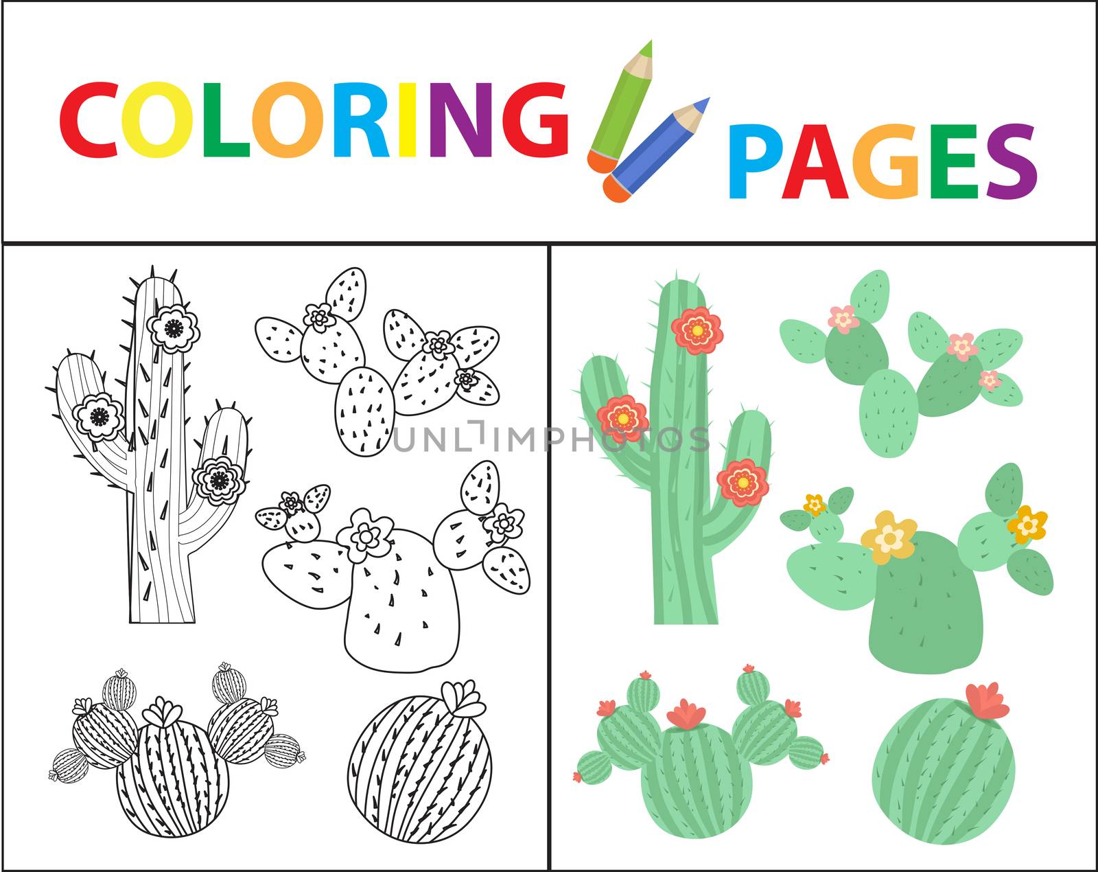 Coloring book page for kids. Set of cactus. Sketch outline and color version. Childrens education. illustration. by lucia_fox