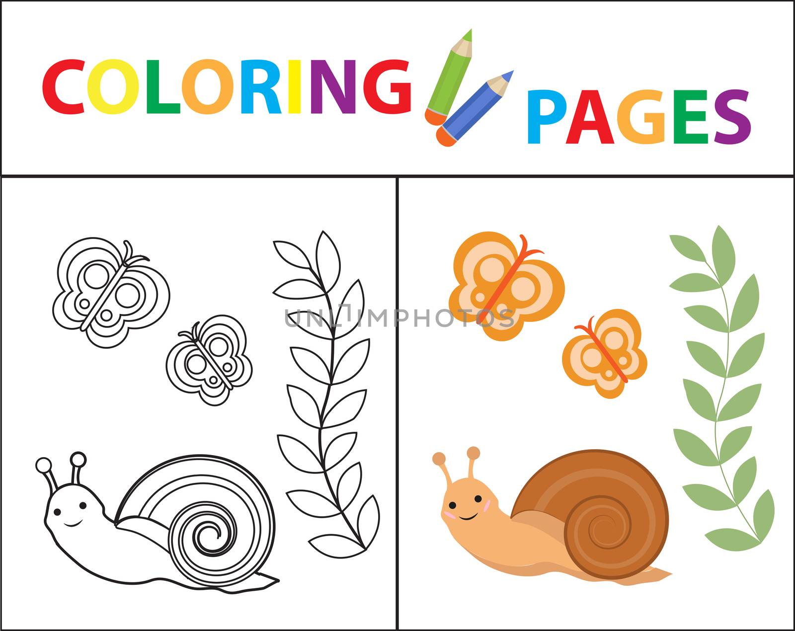 Coloring book page for kids. Snail plant and butterfly. Sketch outline and color version. Childrens education. illustration