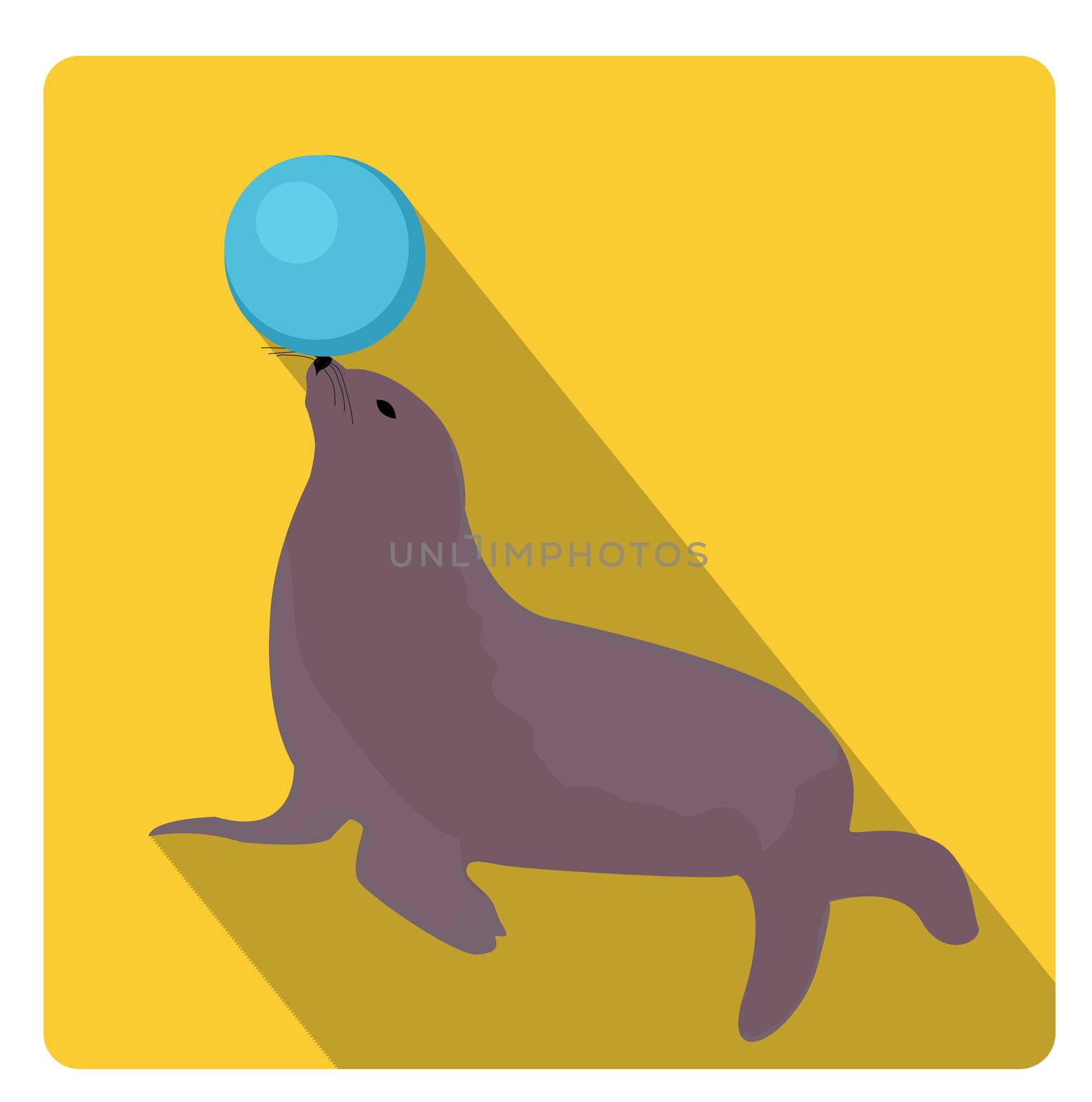 Sea lion with a ball, circus icon flat style with long shadows, isolated on white background. illustration