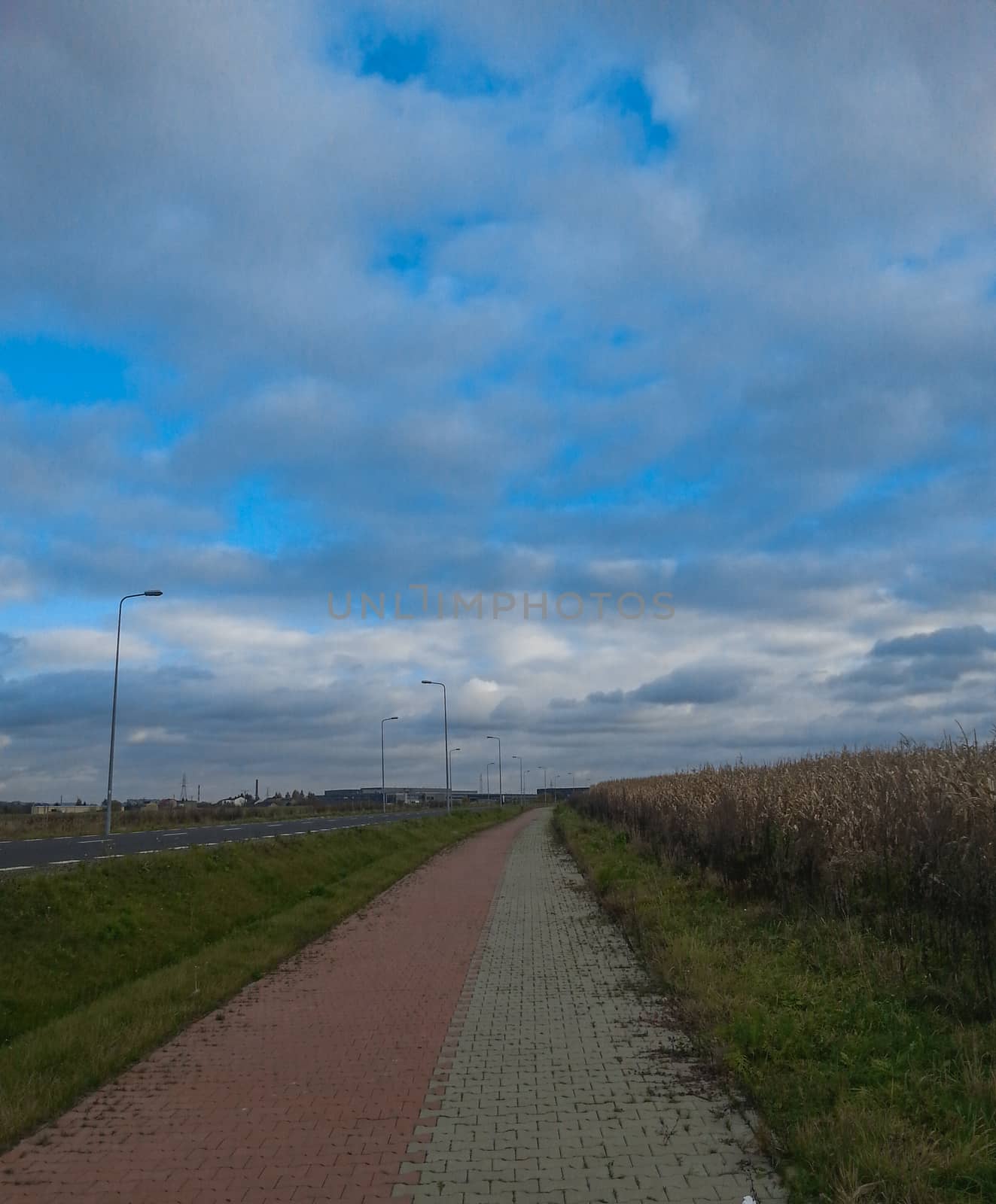 Paved sidewalk in cloudy day by Wierzchu