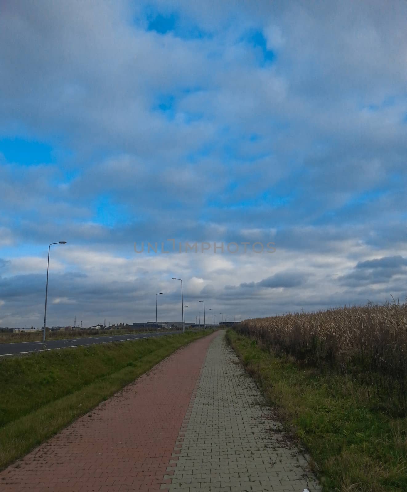 Paved sidewalk in cloudy day