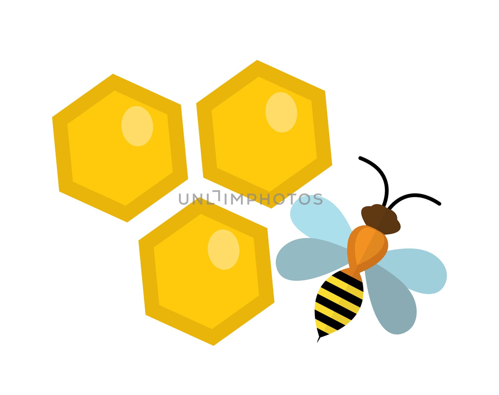 Honeycomb and bee icon, flat style. Isolated on white background. illustration, clip-art. by lucia_fox