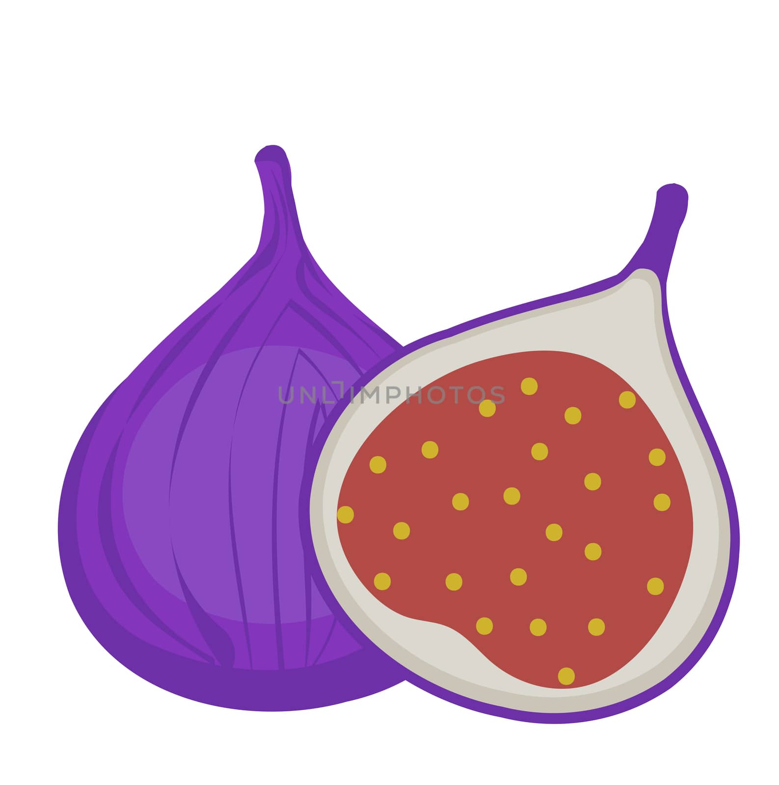 Fresh figs icon, flat, cartoon style.Isolated on white background. illustration, clip-art. by lucia_fox