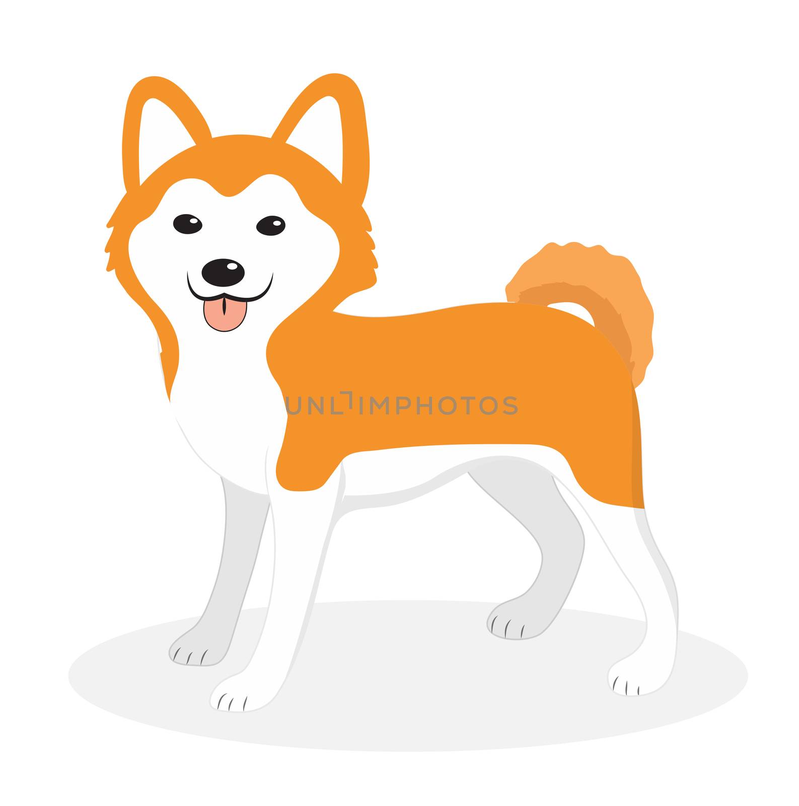 Akita Inu breed dog icon, flat, cartoon style. Cute puppy isolated on white background. illustration, clip-art