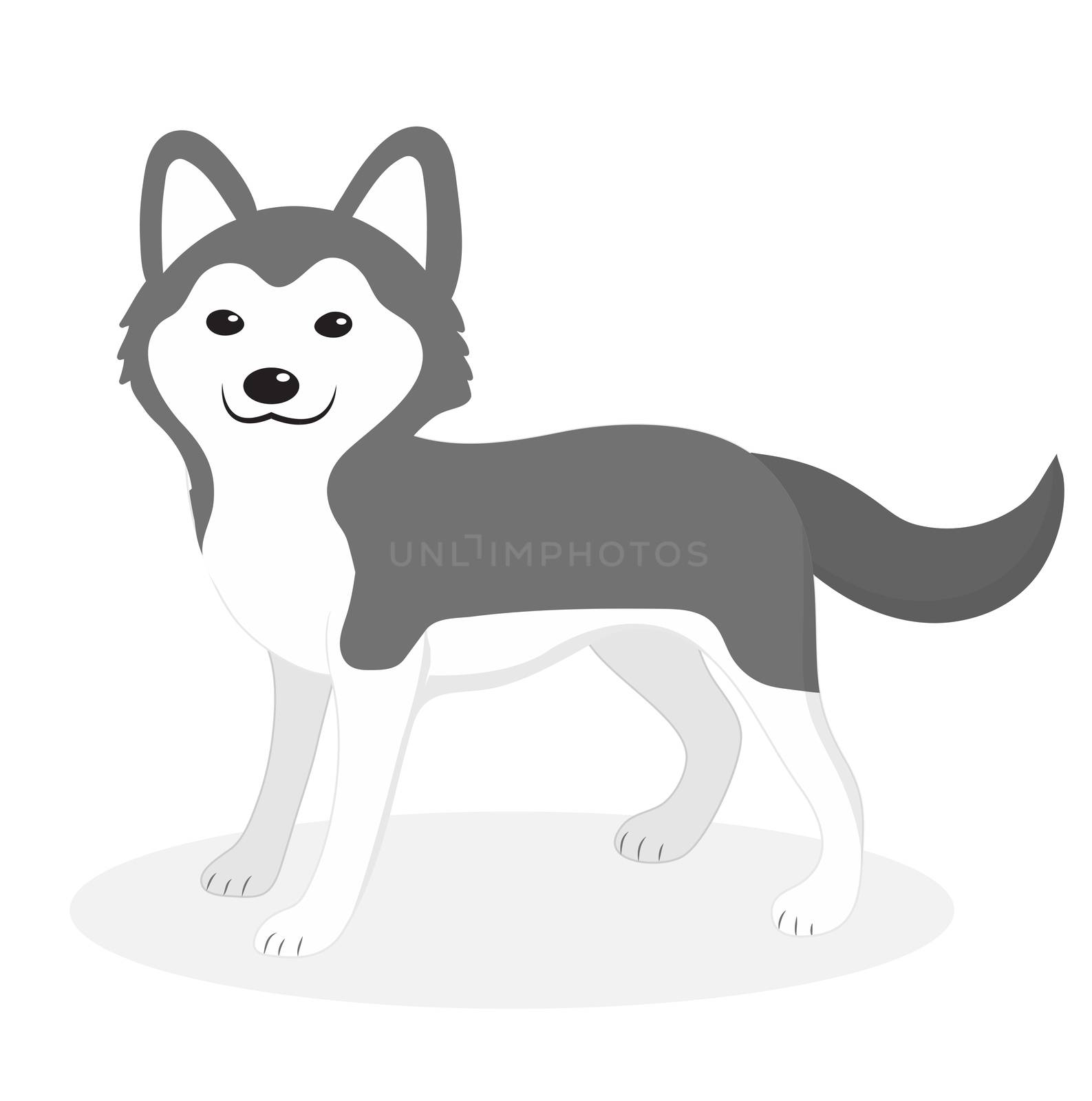 Husky breed dog icon, flat, cartoon style. Cute puppy isolated on white background. illustration, clip-art