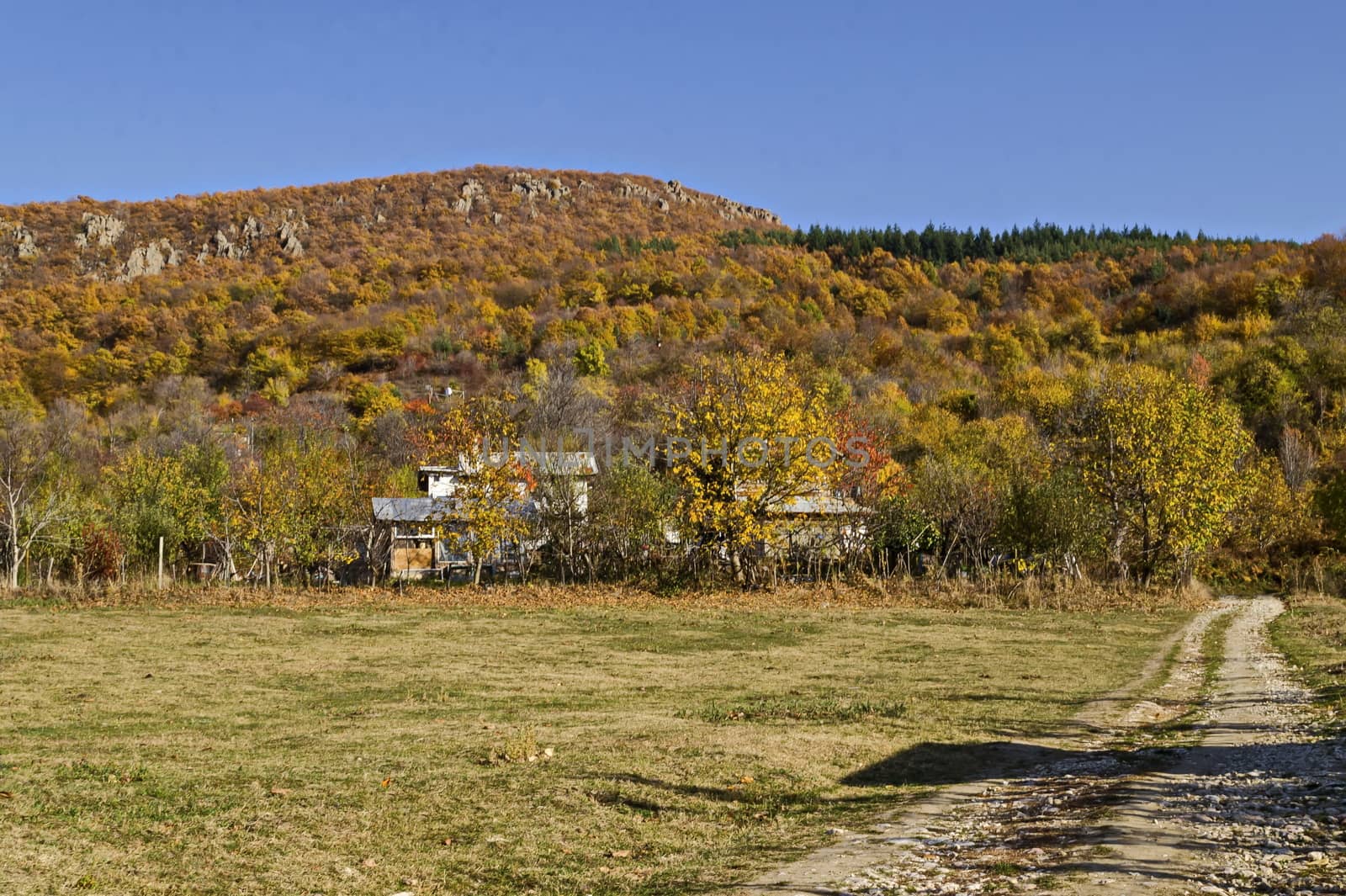 Amazing autumn view of glade, hill, forest with deciduous trees and residential district of the pretty village Zhrebichko, Bratsigovo municipality,  Rhodope mountains, Bulgaria