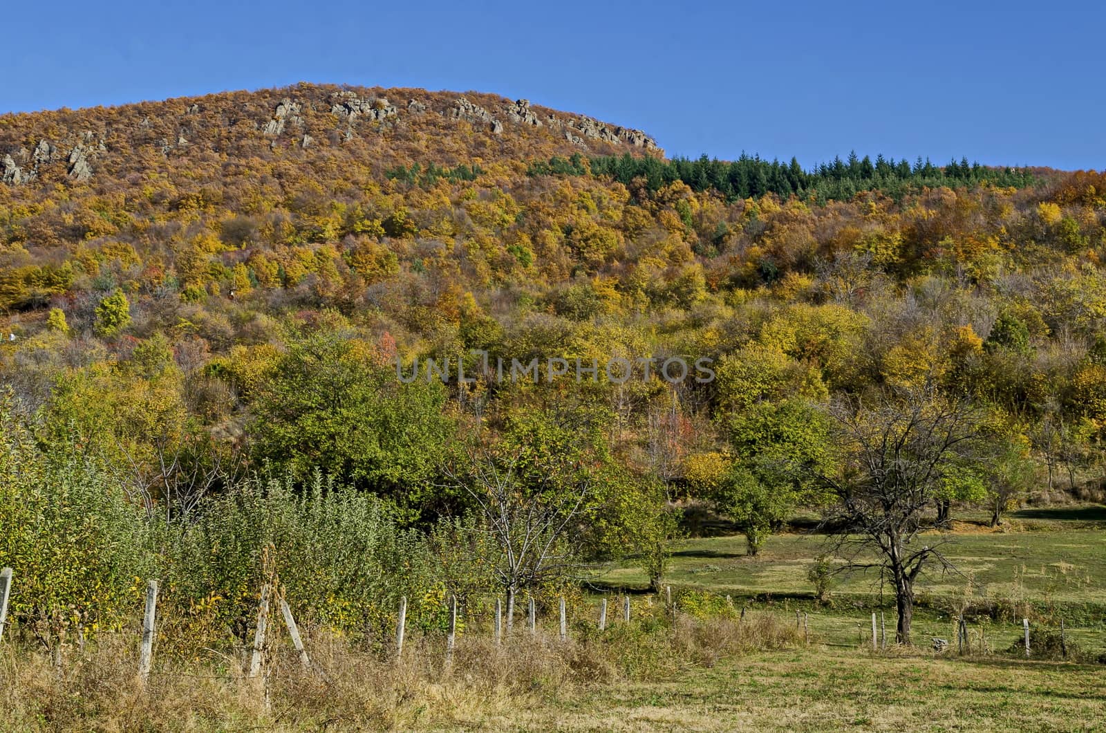 Amazing autumn view of glade, hill, forest with deciduous trees  near to pretty village Zhrebichko, Bratsigovo municipality,  Rhodope mountains, Bulgaria